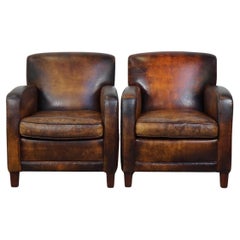 Set of 2 Beautiful Sheepskin Armchairs with the Most Beautiful Colors