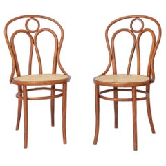 Set of 2 Bentwood Angel Chairs 1940s, Vienna Cane Seats, Stained Beech Wood
