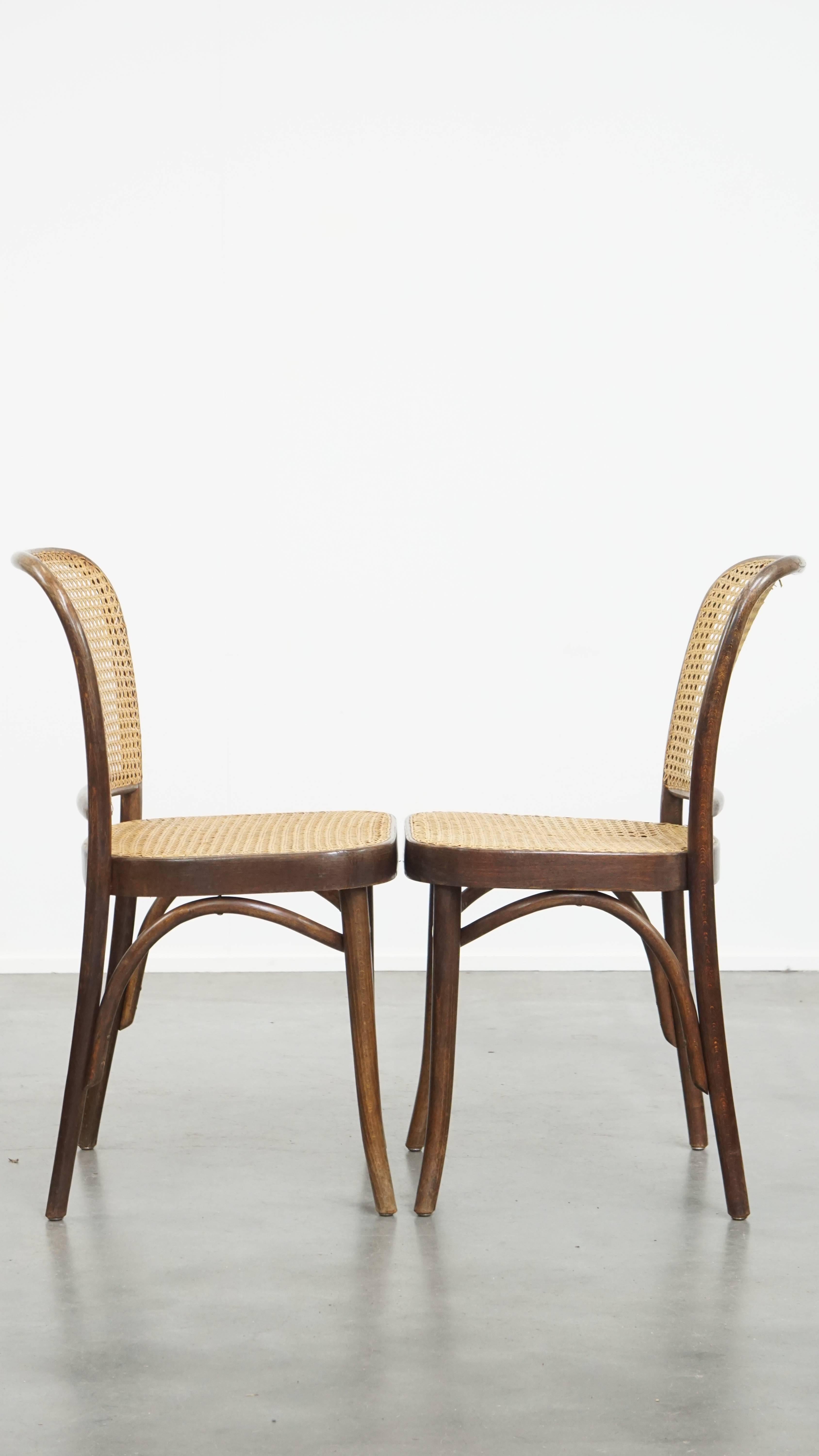 Aquí se ofrece este conjunto de 2 encantadoras sillas de bistro al estilo de Thonet, con un armazón de madera único.
Este fantástico conjunto de dos sillas de bistro vintage, inspirado en el clásico diseño Thonet, es un magnífico complemento para
