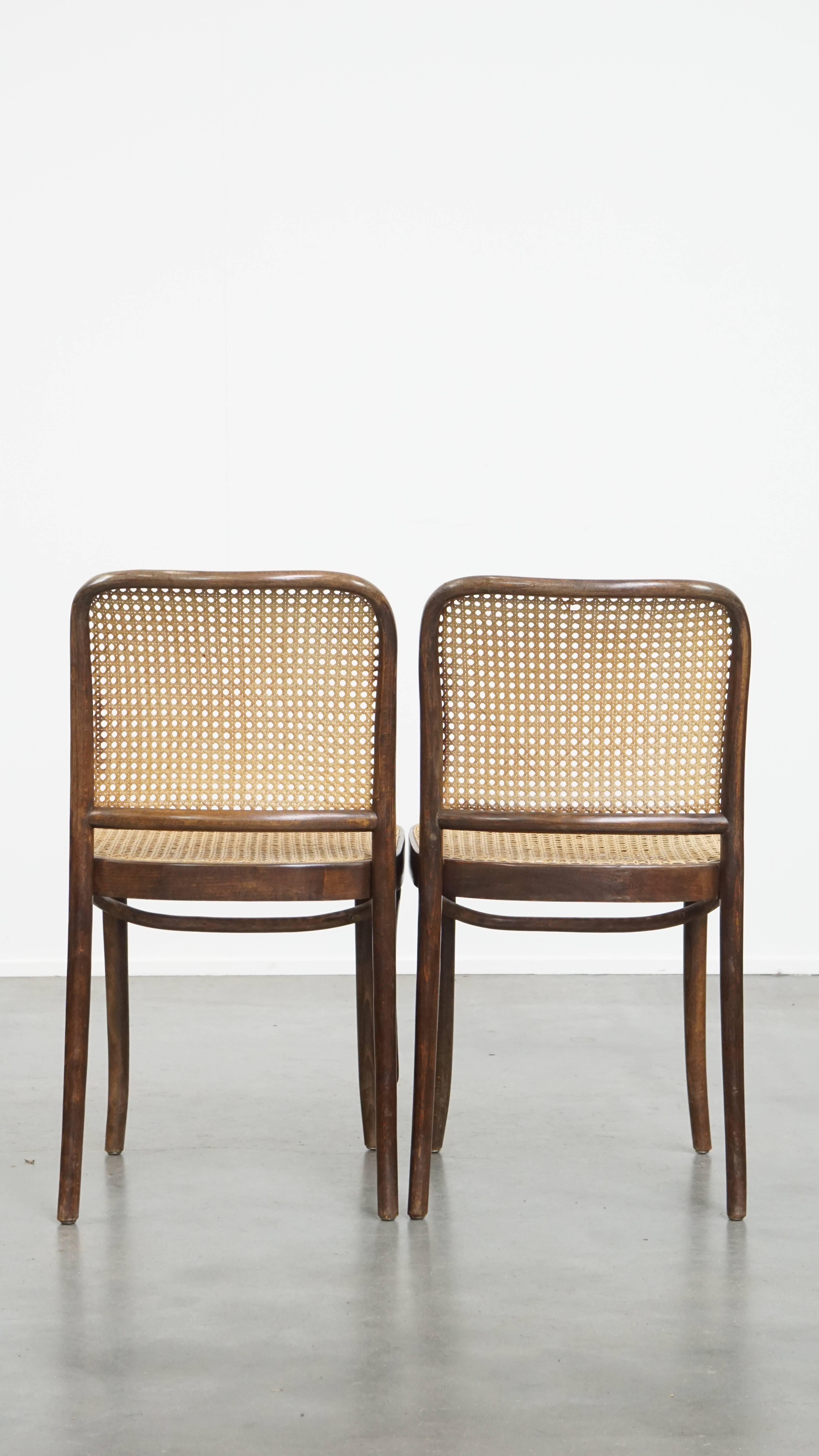 Juego de 2 Sillas Bistro con Estructura de Madera Romano clásico en venta