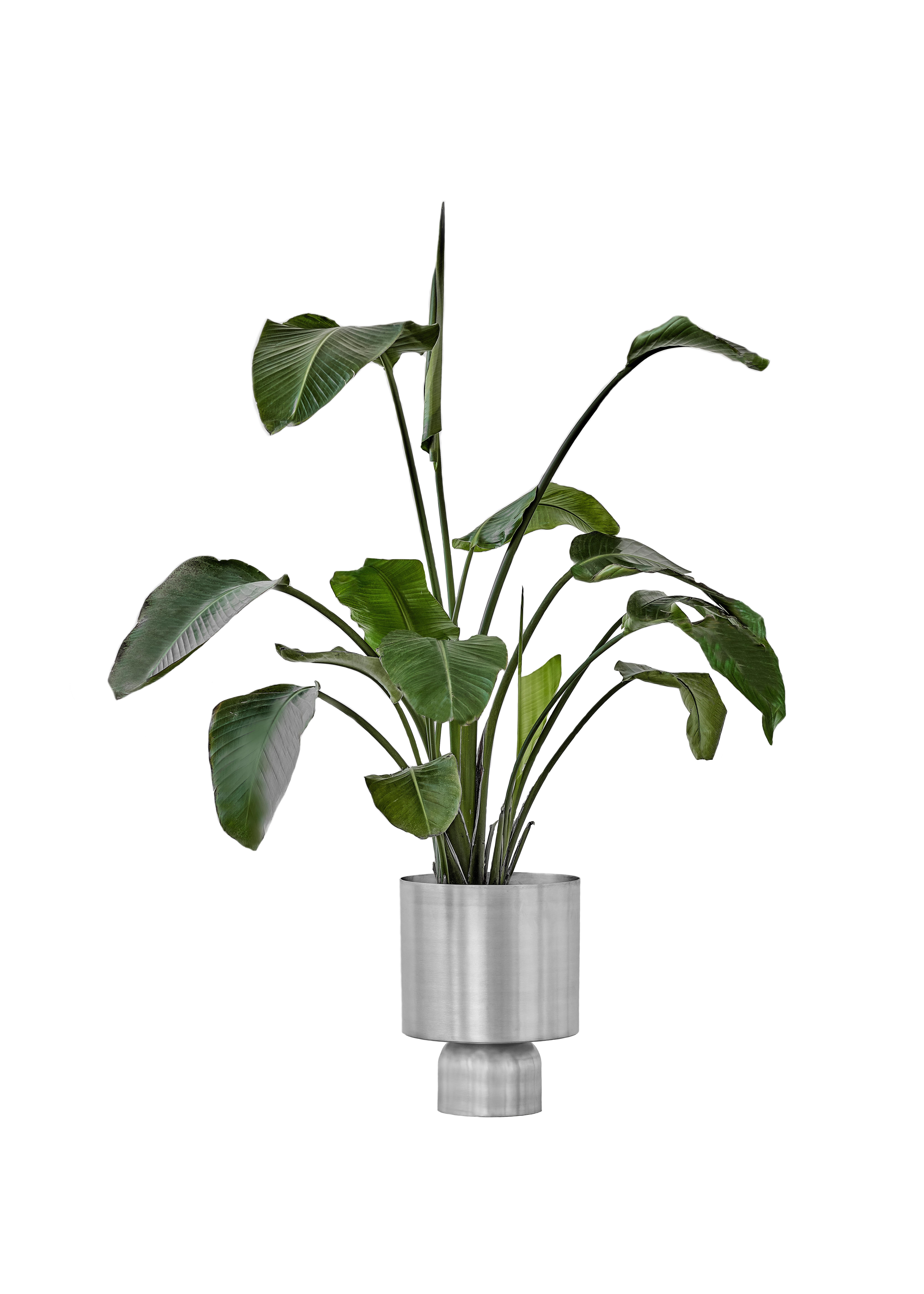 Modern Set of 2 Bold Ada Planters by Llot Llov For Sale