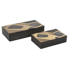 Juego de 2 cajas de piel de zapa con inserto de concha y latón by R&Y Augousti