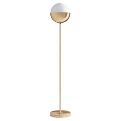 Set of 2 Brass Floor Lamp 01 Dimmable 160 by Magic Circus Editions