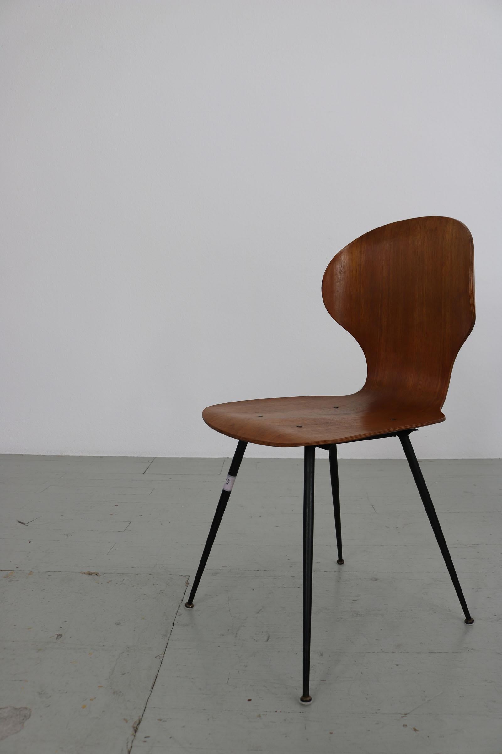 Set of 2 , Carlo Ratti Bentwood Chairs, Italy, 1950s by Industria Legni Curvati For Sale 8