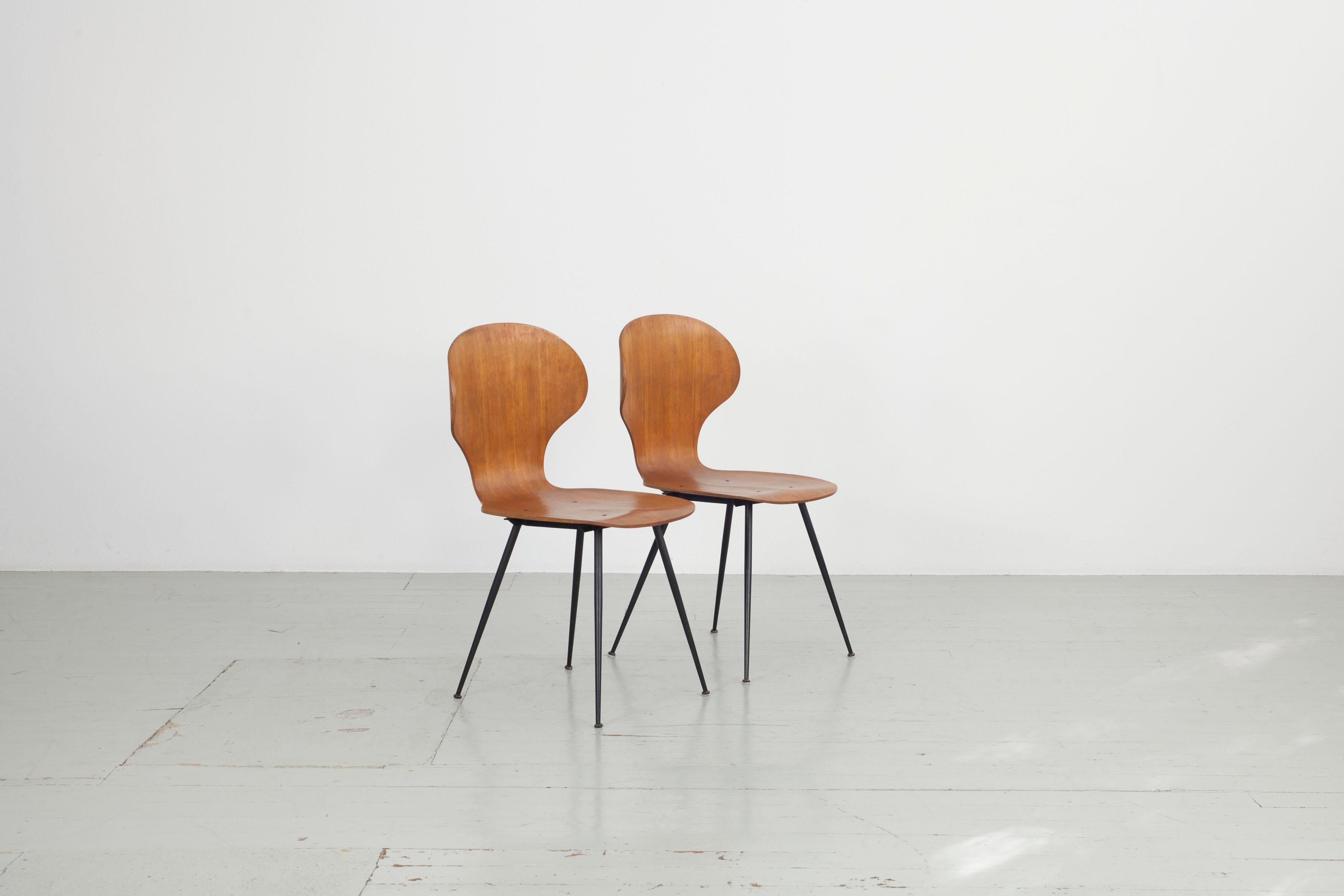 Mid-Century Modern Set of 2 , Carlo Ratti Bentwood Chairs, Italy, 1950s by Industria Legni Curvati  For Sale