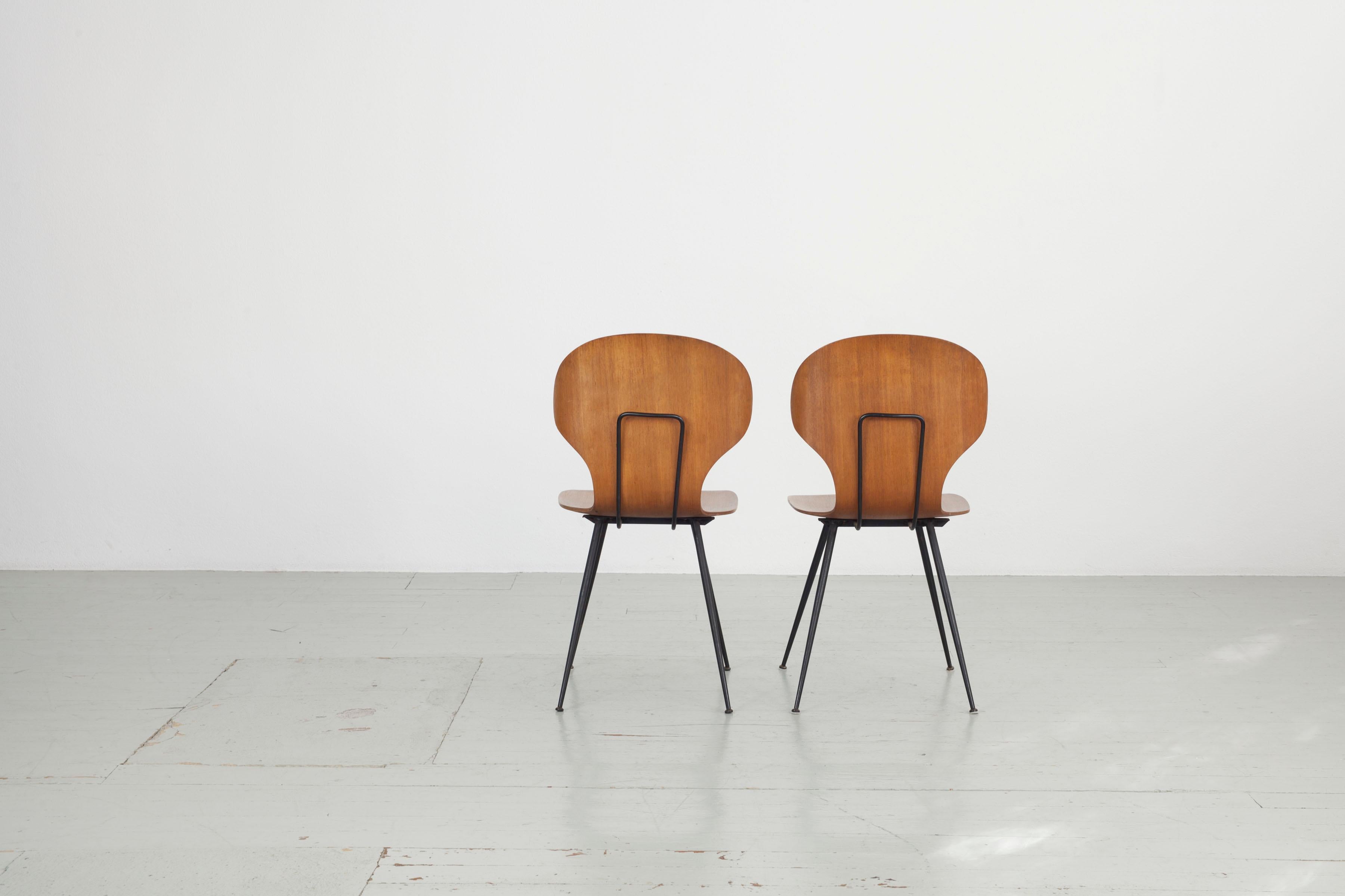 Set of 2 , Carlo Ratti Bentwood Chairs, Italy, 1950s by Industria Legni Curvati  In Good Condition For Sale In Wolfurt, AT