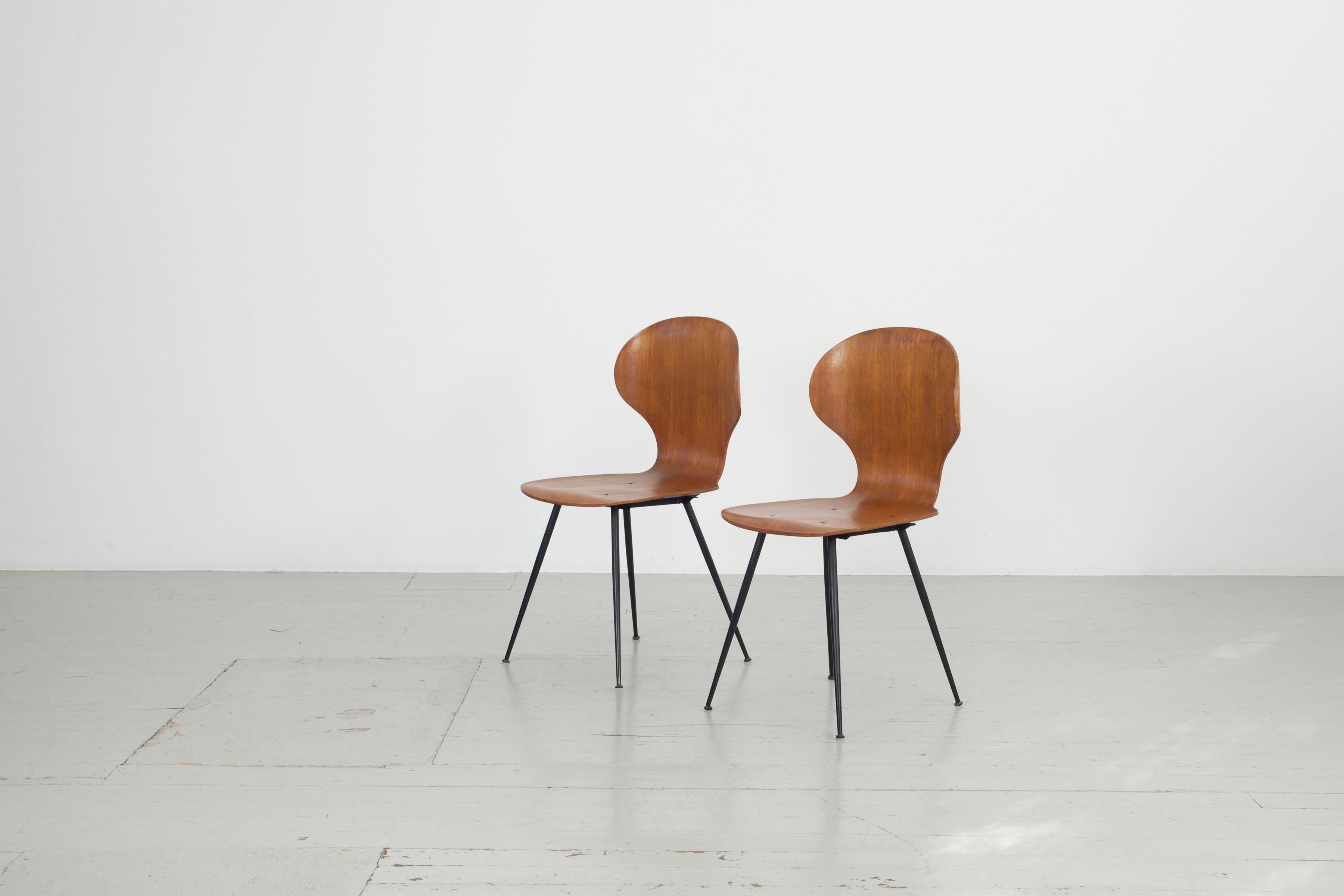 Mid-20th Century Set of 2 , Carlo Ratti Bentwood Chairs, Italy, 1950s by Industria Legni Curvati  For Sale