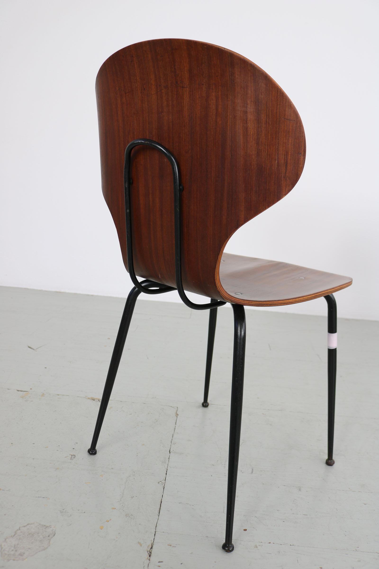 Set of  2 , Carlo Ratti Bentwood Chairs, Italy, 1950s. Industria Legni Curvati.  For Sale 4