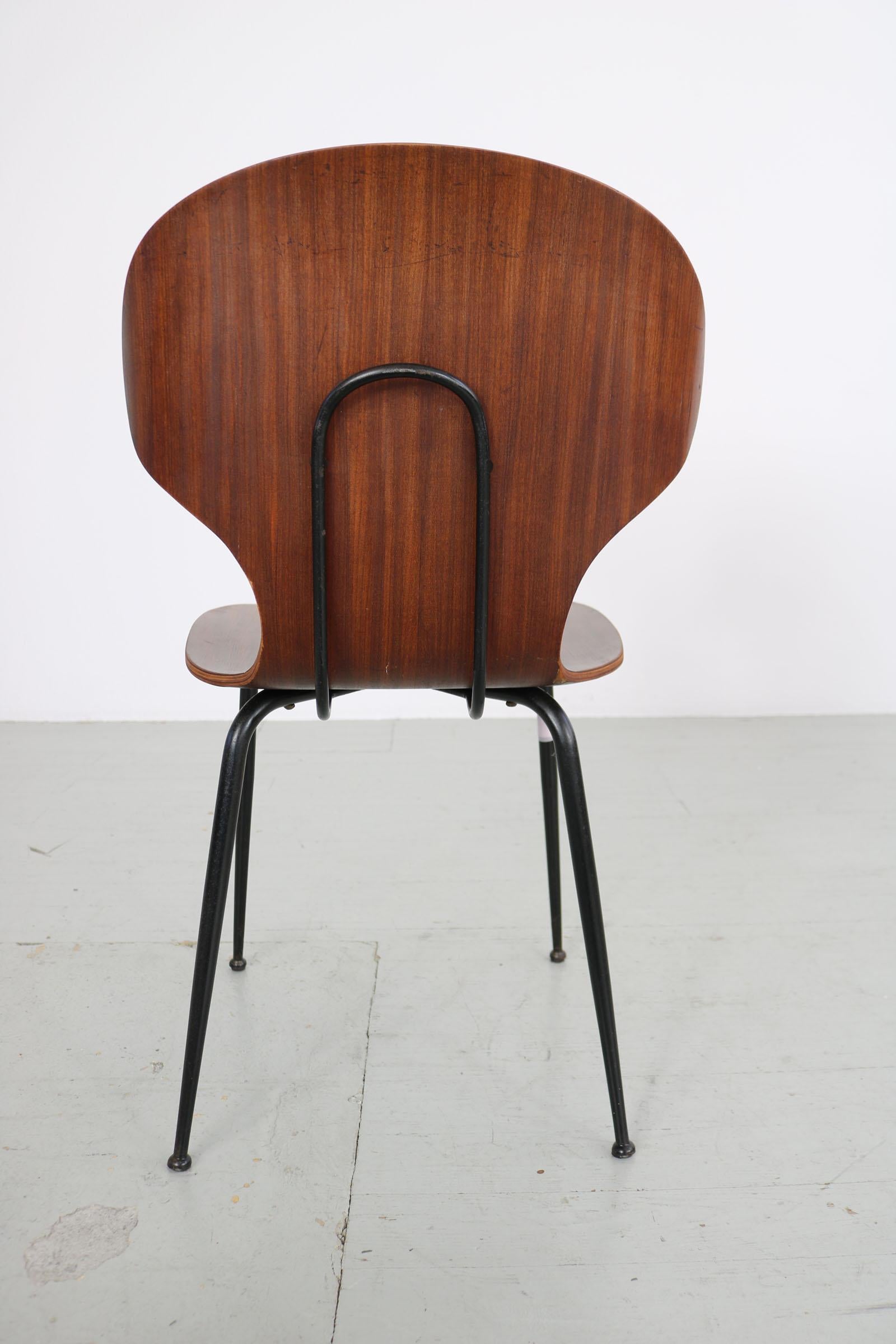 Set of  2 , Carlo Ratti Bentwood Chairs, Italy, 1950s. Industria Legni Curvati.  For Sale 5