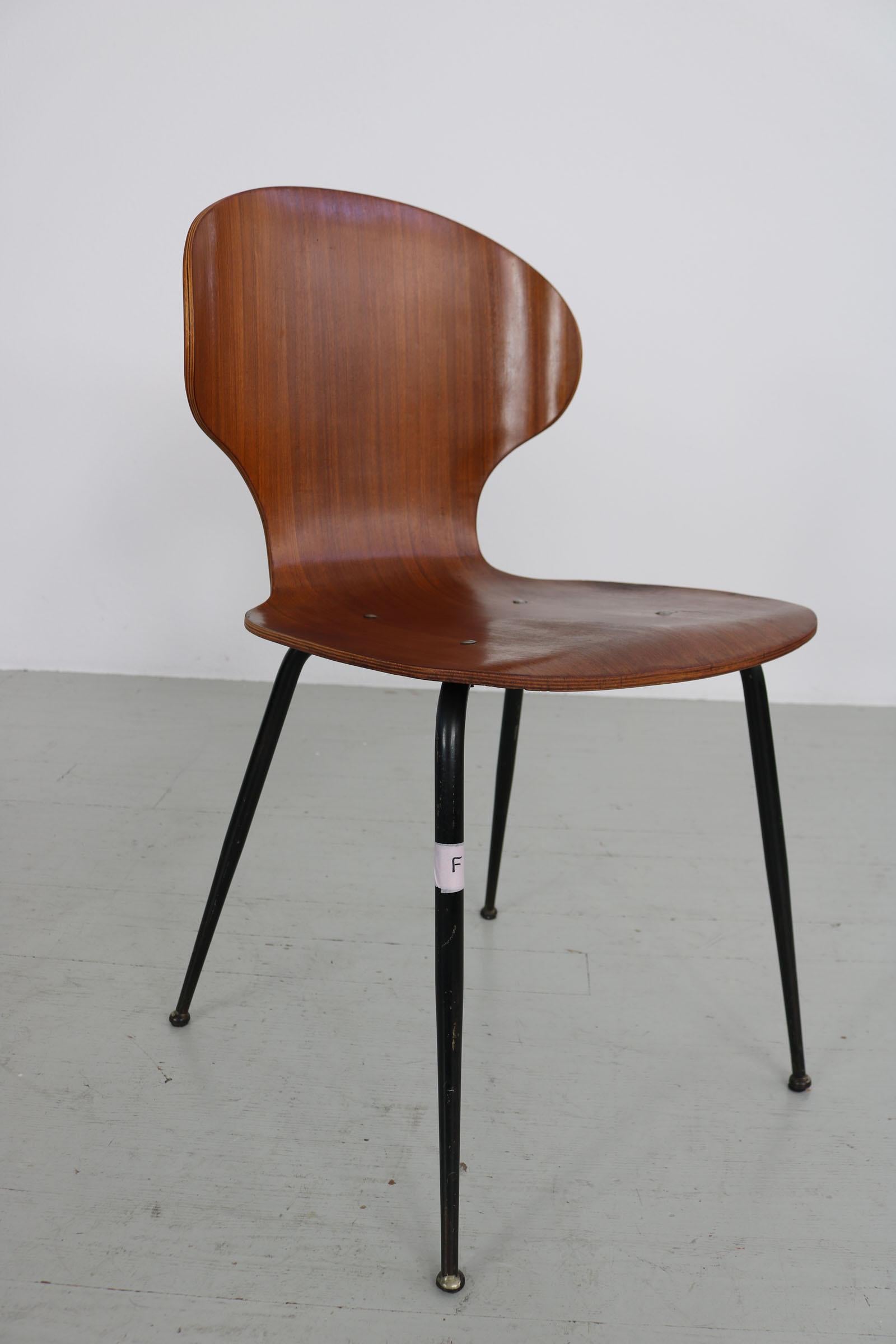 Set of  2 , Carlo Ratti Bentwood Chairs, Italy, 1950s. Industria Legni Curvati.  For Sale 10