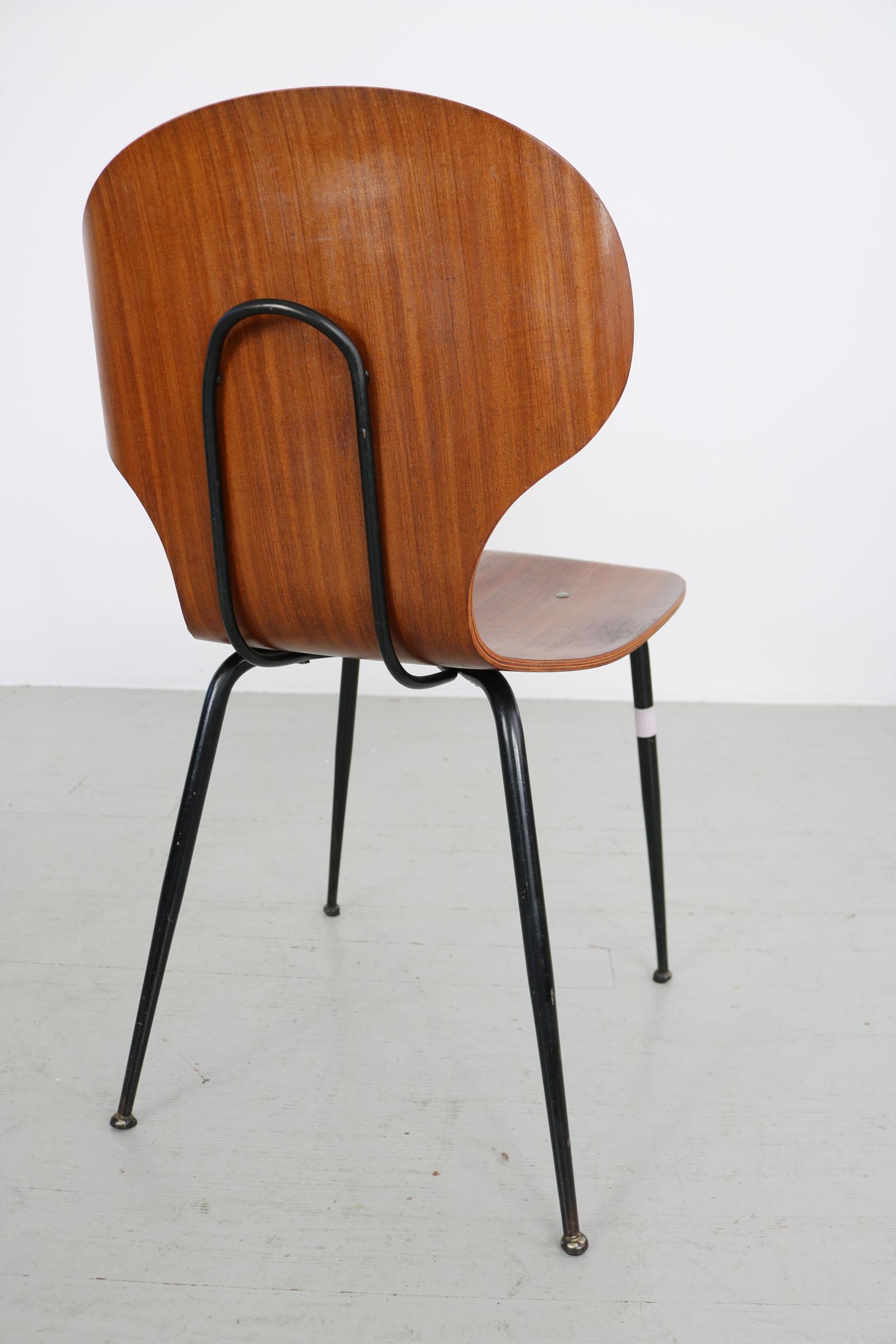 Set of  2 , Carlo Ratti Bentwood Chairs, Italy, 1950s. Industria Legni Curvati.  For Sale 12
