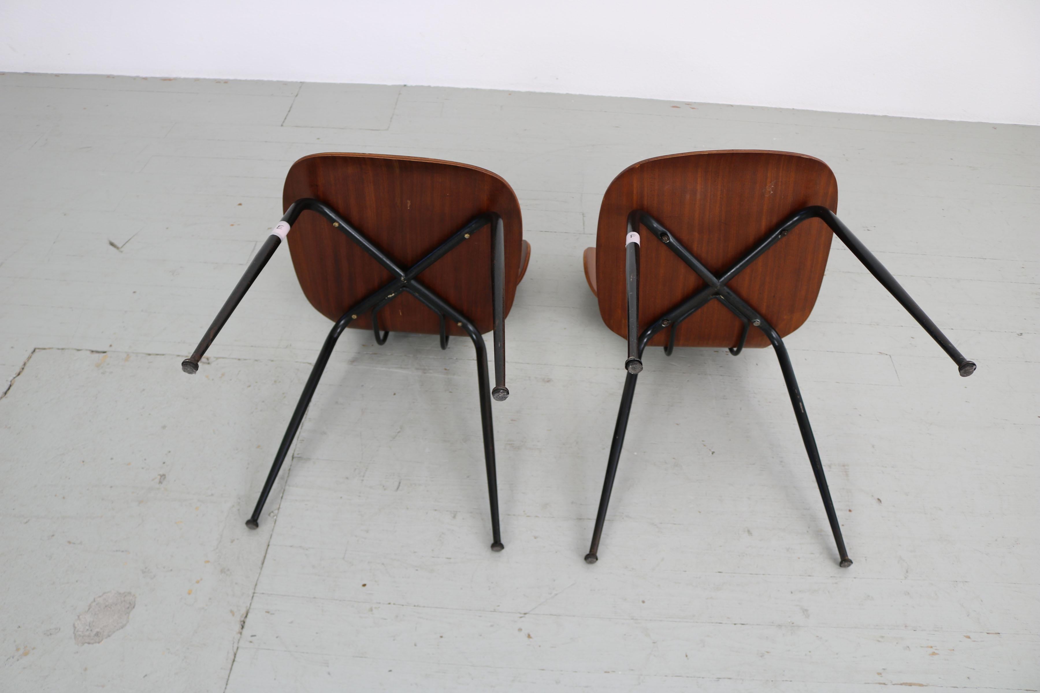 Set of  2 , Carlo Ratti Bentwood Chairs, Italy, 1950s. Industria Legni Curvati.  For Sale 13