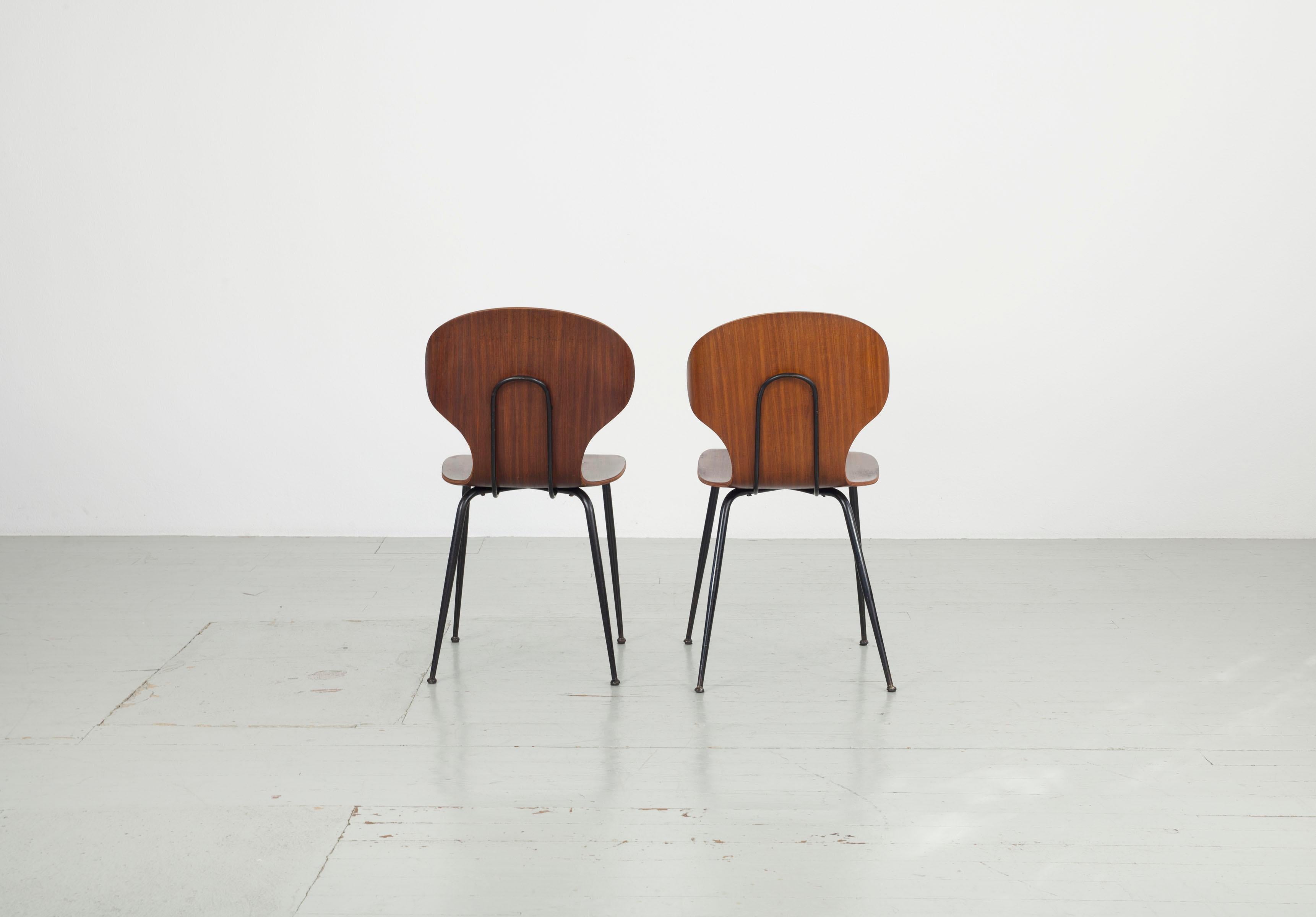 Set of  2 , Carlo Ratti Bentwood Chairs, Italy, 1950s. Industria Legni Curvati.  In Good Condition For Sale In Wolfurt, AT