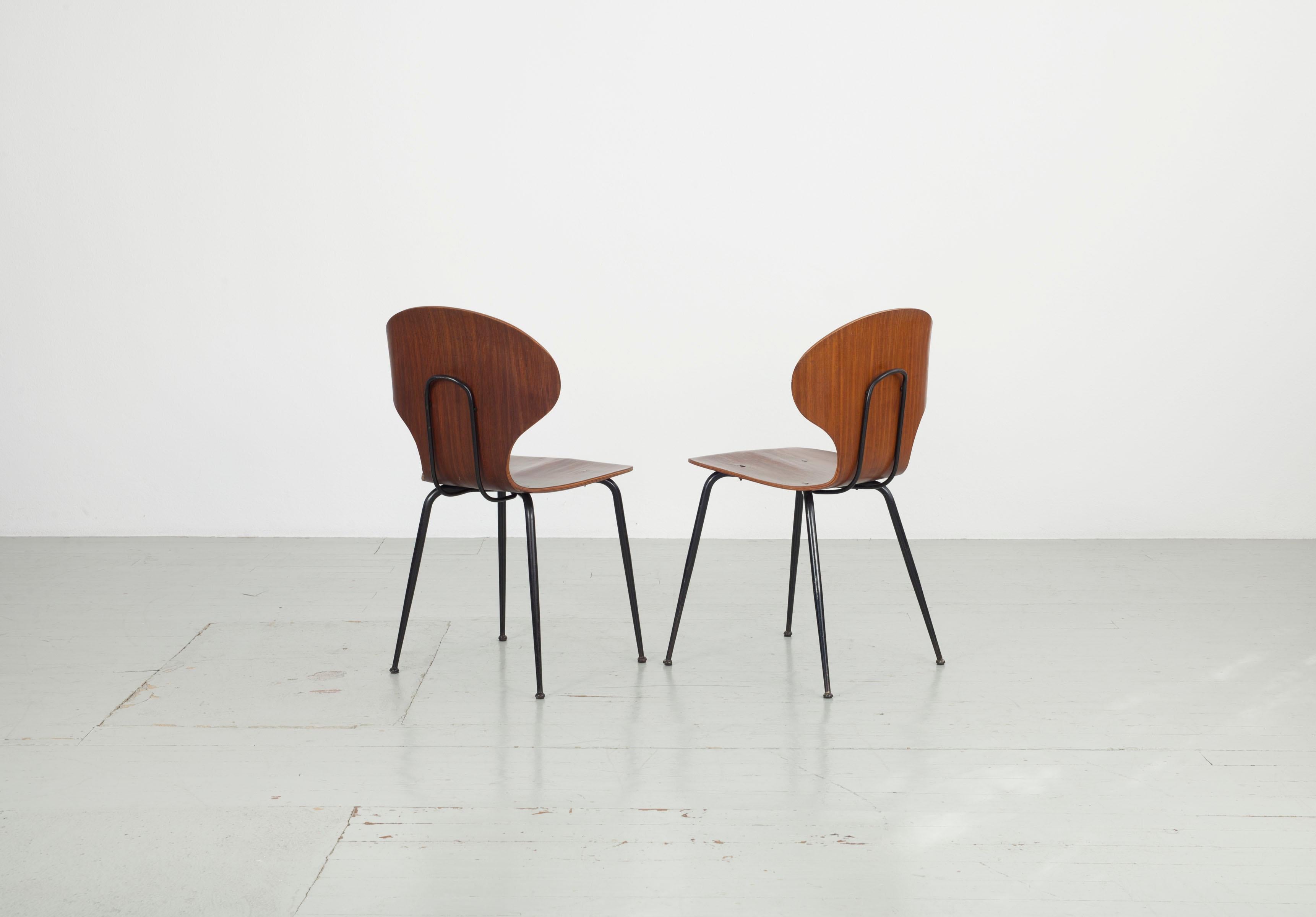 Mid-20th Century Set of  2 , Carlo Ratti Bentwood Chairs, Italy, 1950s. Industria Legni Curvati.  For Sale