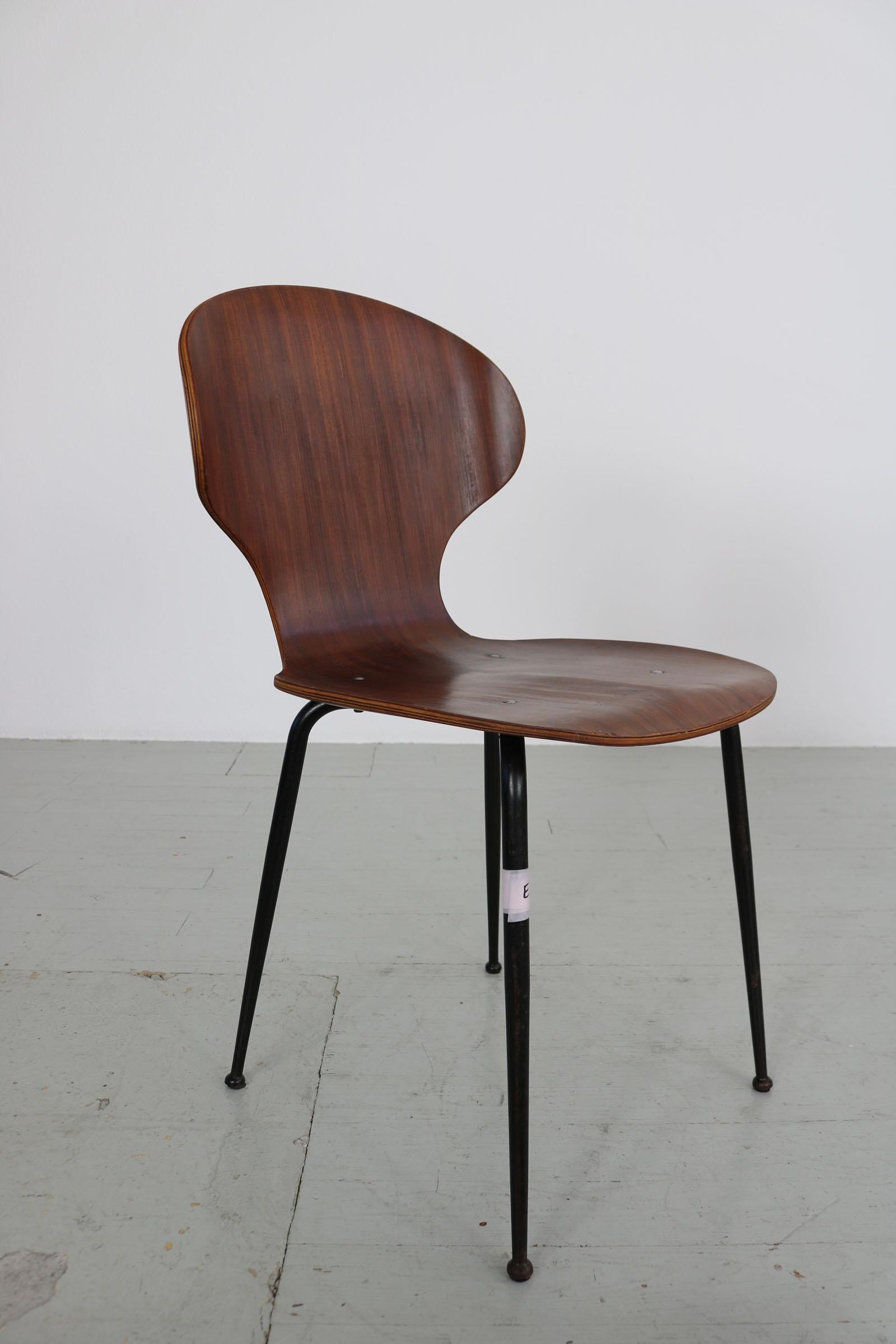 Set of  2 , Carlo Ratti Bentwood Chairs, Italy, 1950s. Industria Legni Curvati.  For Sale 2