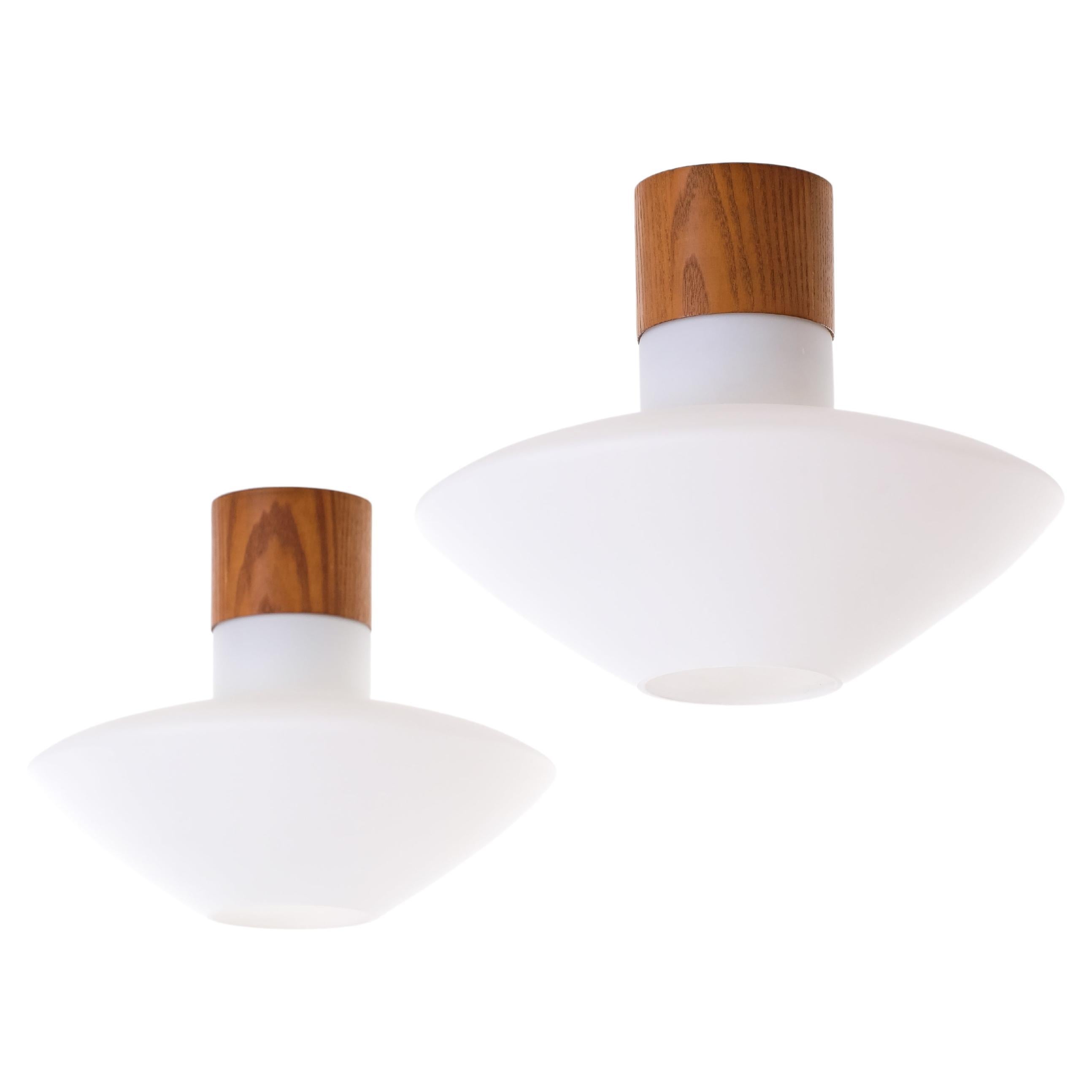 Ceiling Lights by Luxus, Sweden, 1960s For Sale