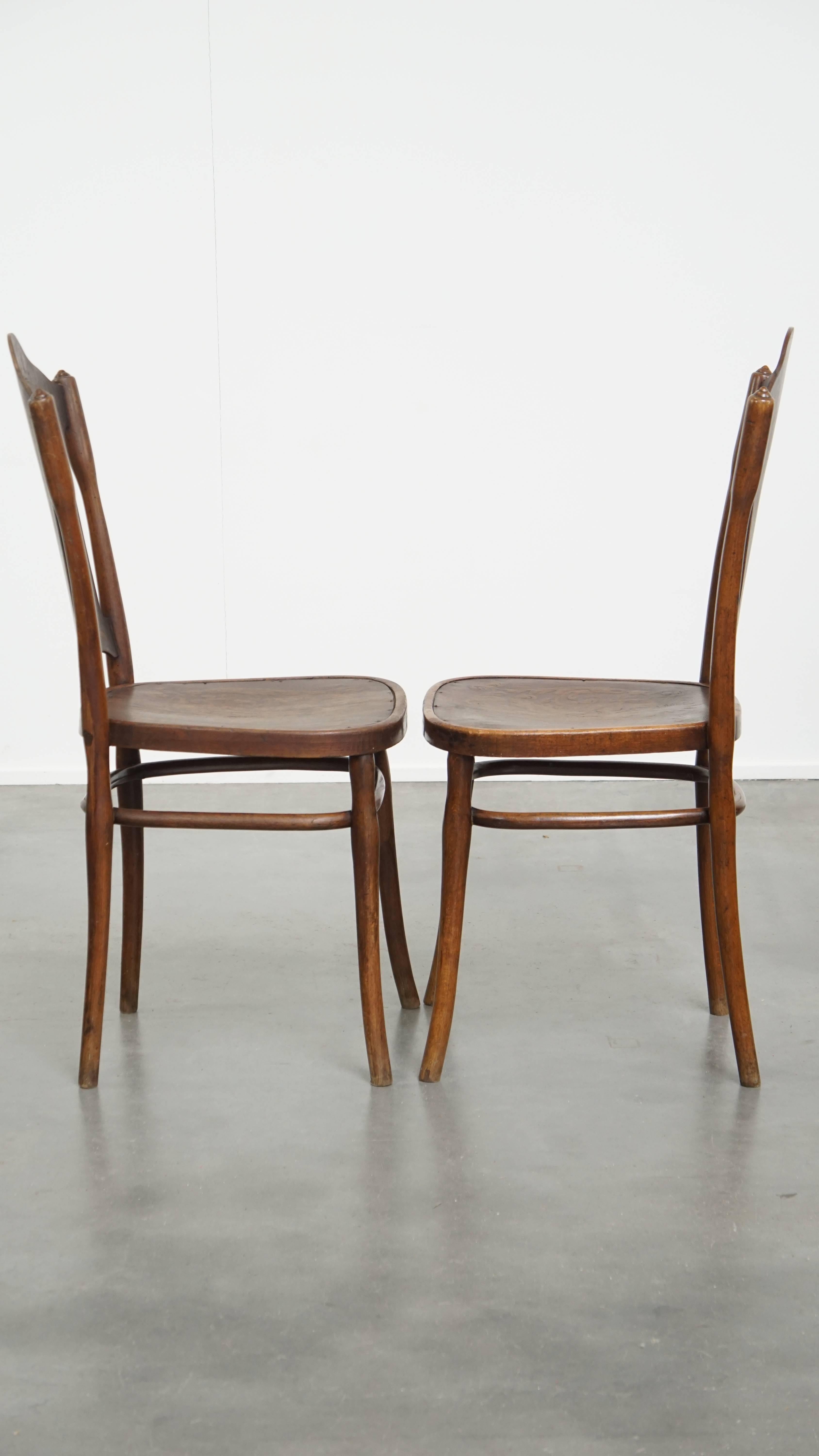 Angeboten wird hier ein Satz von 2 originalen Jacob & Josef Kohn Thonet Design Stühlen aus Bugholz aus dem frühen 20. Jahrhundert, mit schönen Holzschnitzereien. Diese atemberaubenden antiken Stühle stammen aus den frühen 1900er Jahren und weisen