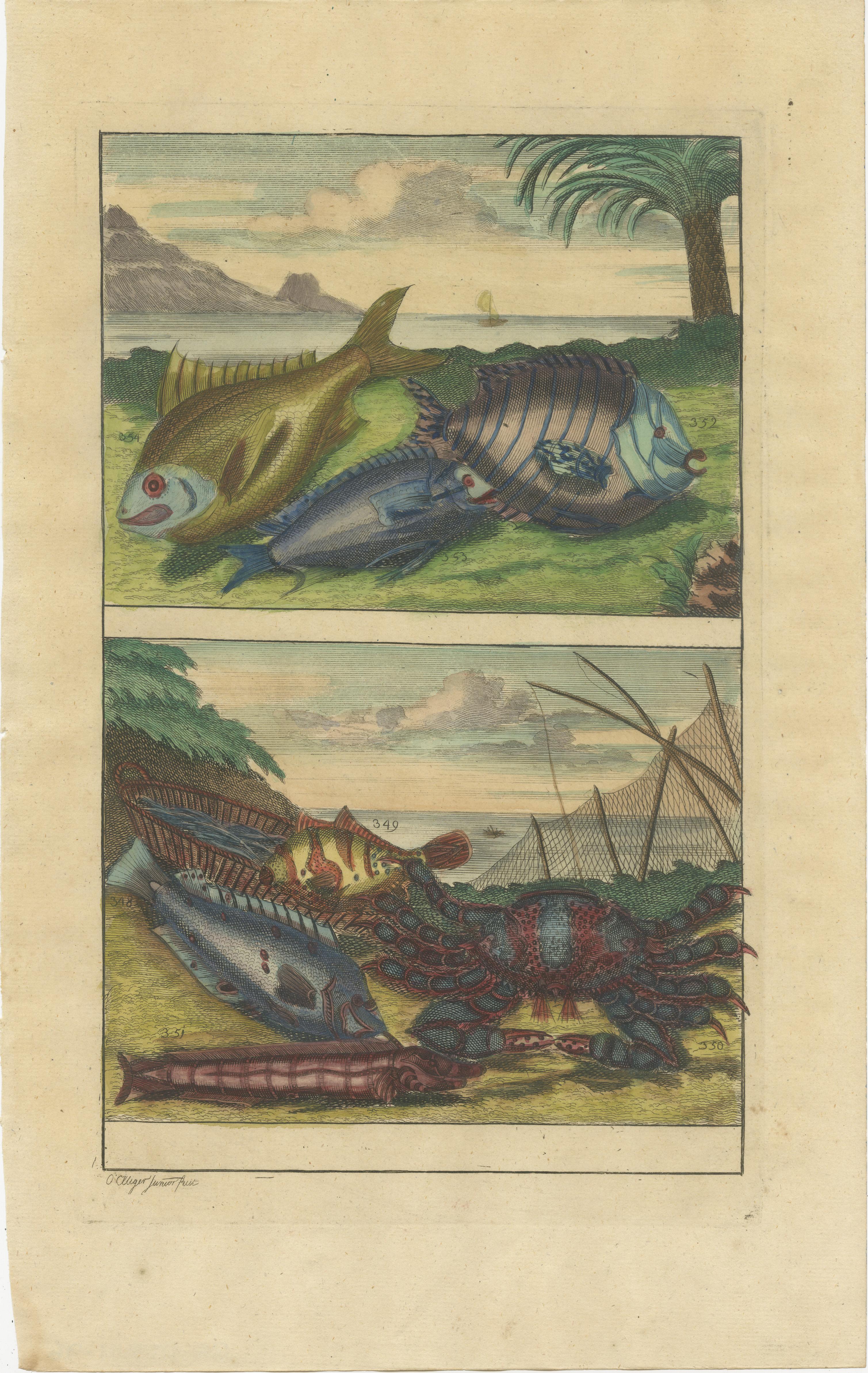 Zwei antike Drucke von verschiedenen Fischen und Krustentieren. Dieser Druck stammt aus 'Oud en Nieuw Oost-Indiën' von F. Valentijn.

François Valentyn oder Valentijn (17. April 1666 - 6. August 1727) war ein niederländischer calvinistischer