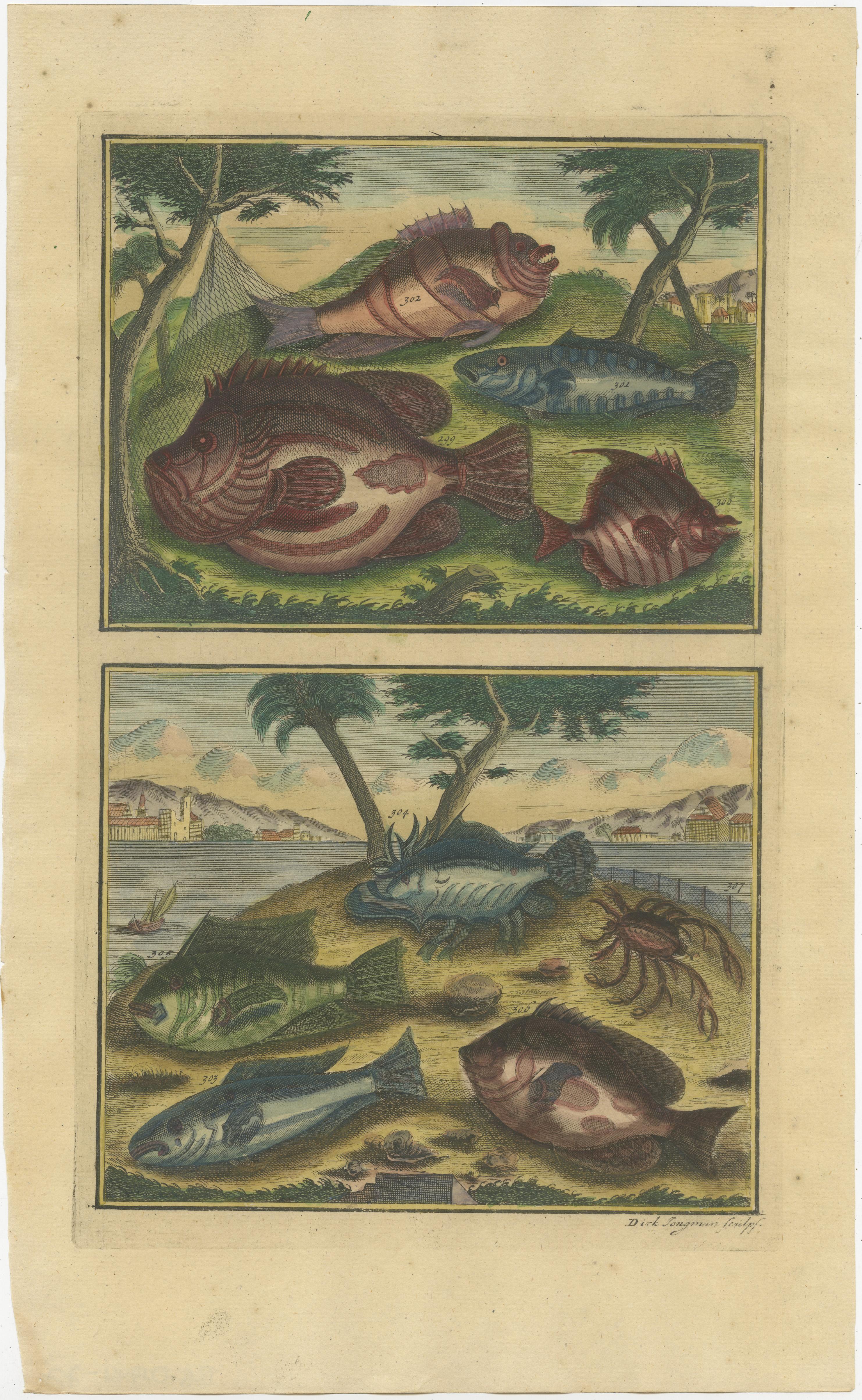 Set of 2 Colored Antique Prints of Various Fishes and Crustaceans In Good Condition For Sale In Langweer, NL