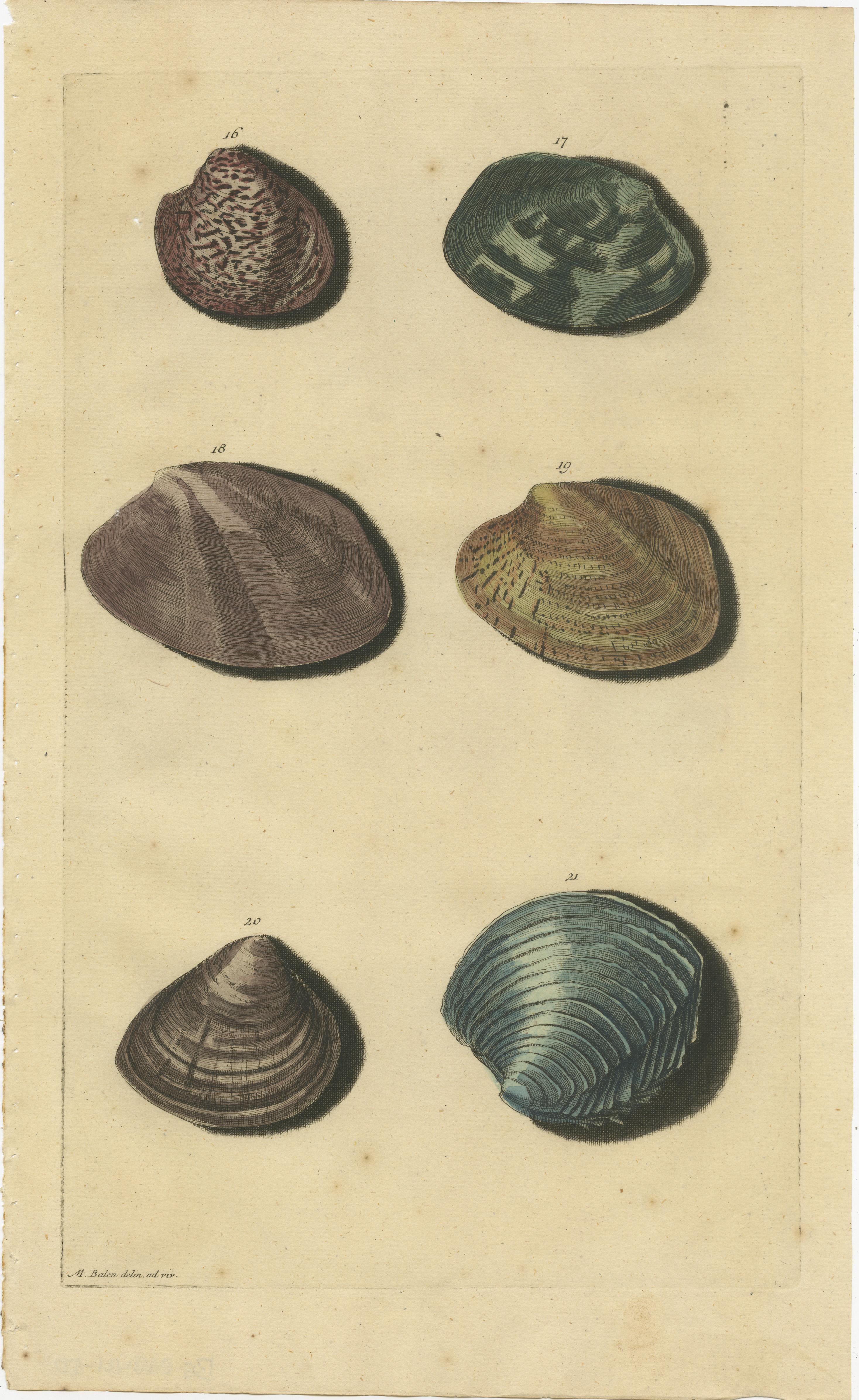Satz von 2 farbigen antiken Drucken von verschiedenen Muscheln und Weichtieren im Zustand „Gut“ im Angebot in Langweer, NL