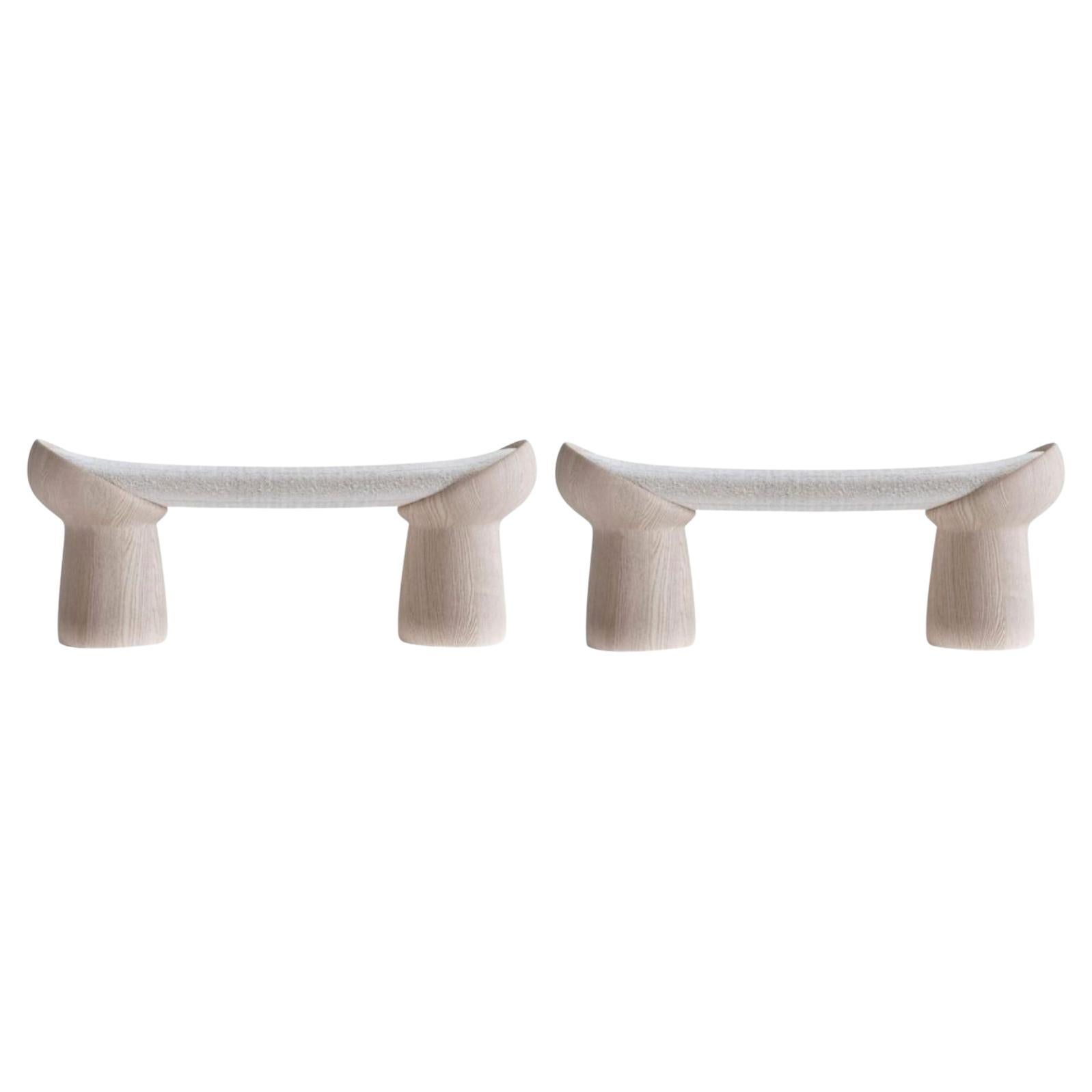 Set of 2 Contemporary Benches by Faina For Sale