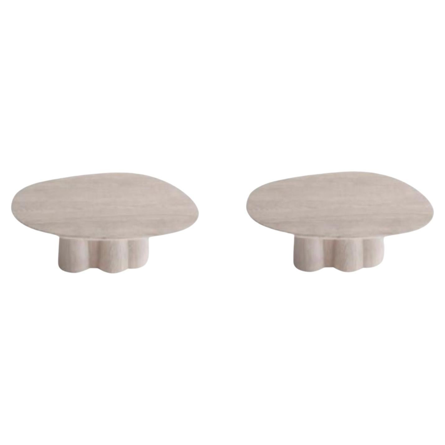 Set of 2 Contemporary Coffee Tables by Faina