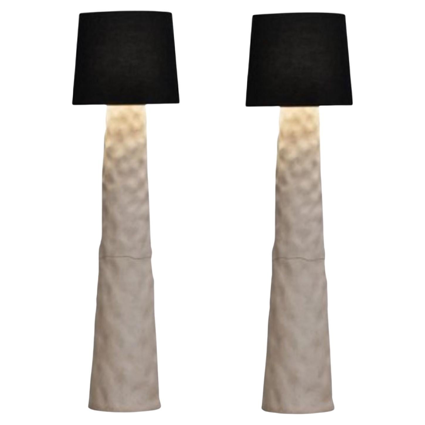 Set of 2 Contemporary Floor Lamps by Faina