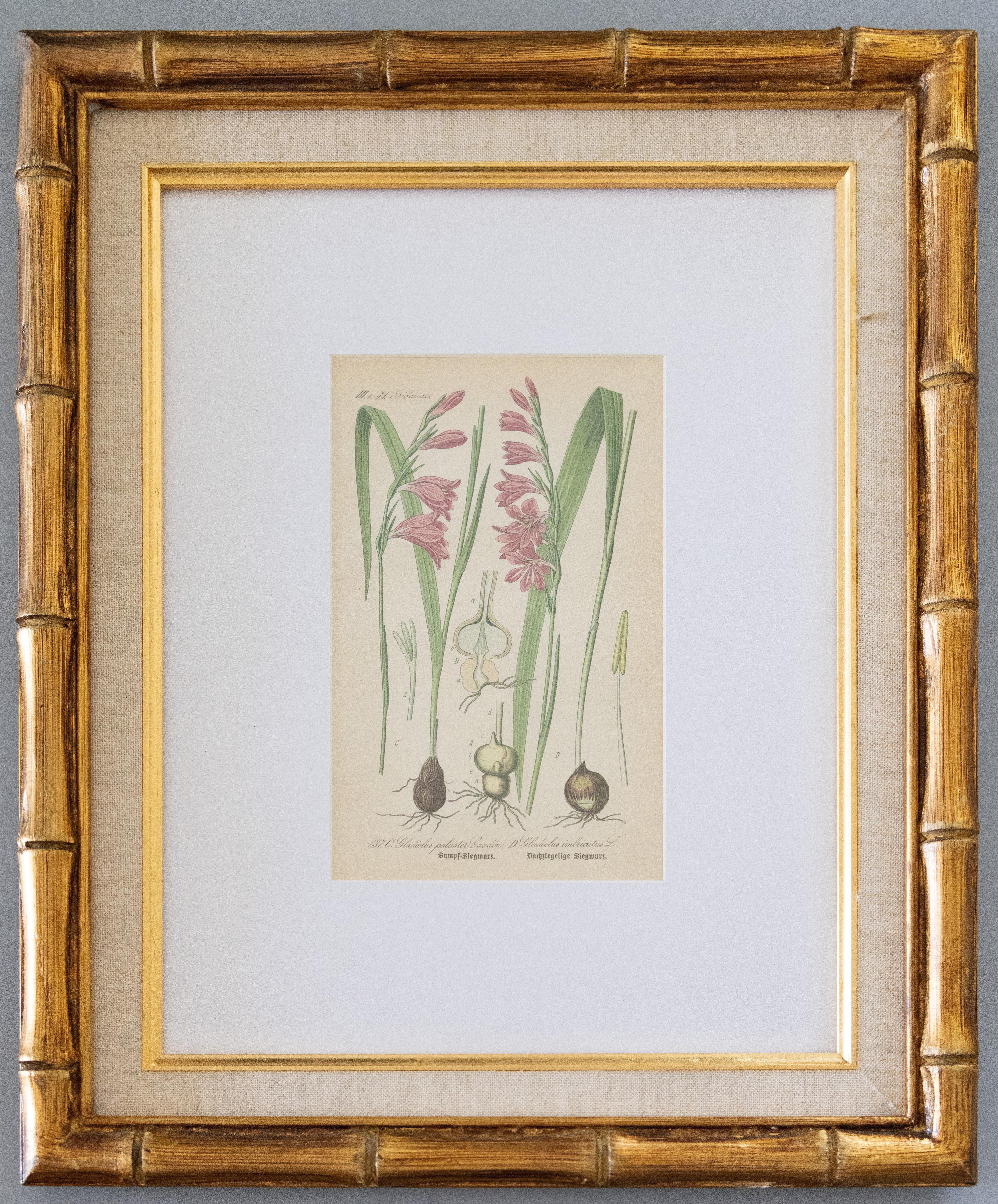 Set of 2 Custom Framed Antique Floral Botanical Engravings  In Good Condition For Sale In Pearland, TX