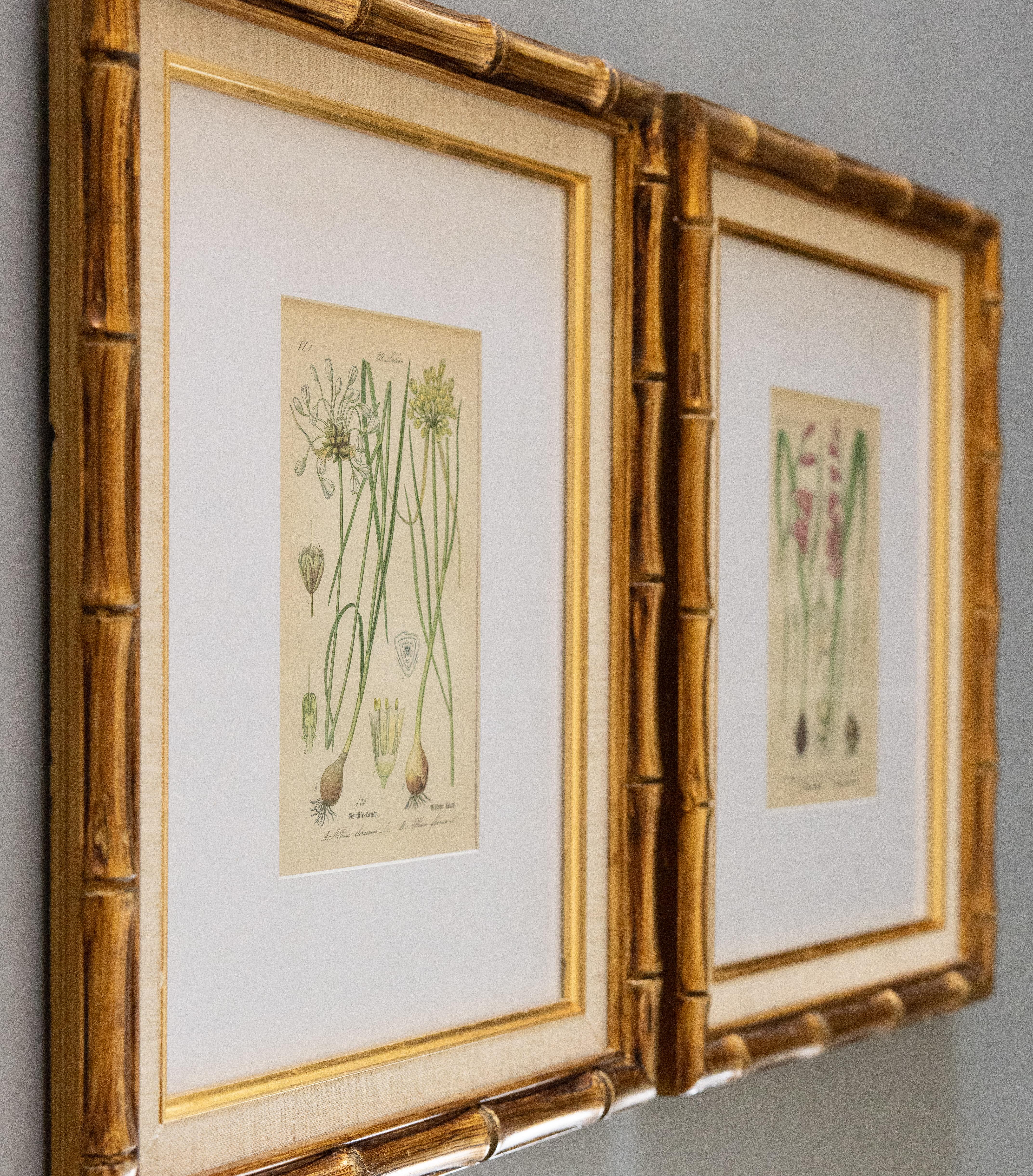 Set of 2 Custom Framed Antique Floral Botanical Engravings  For Sale 1