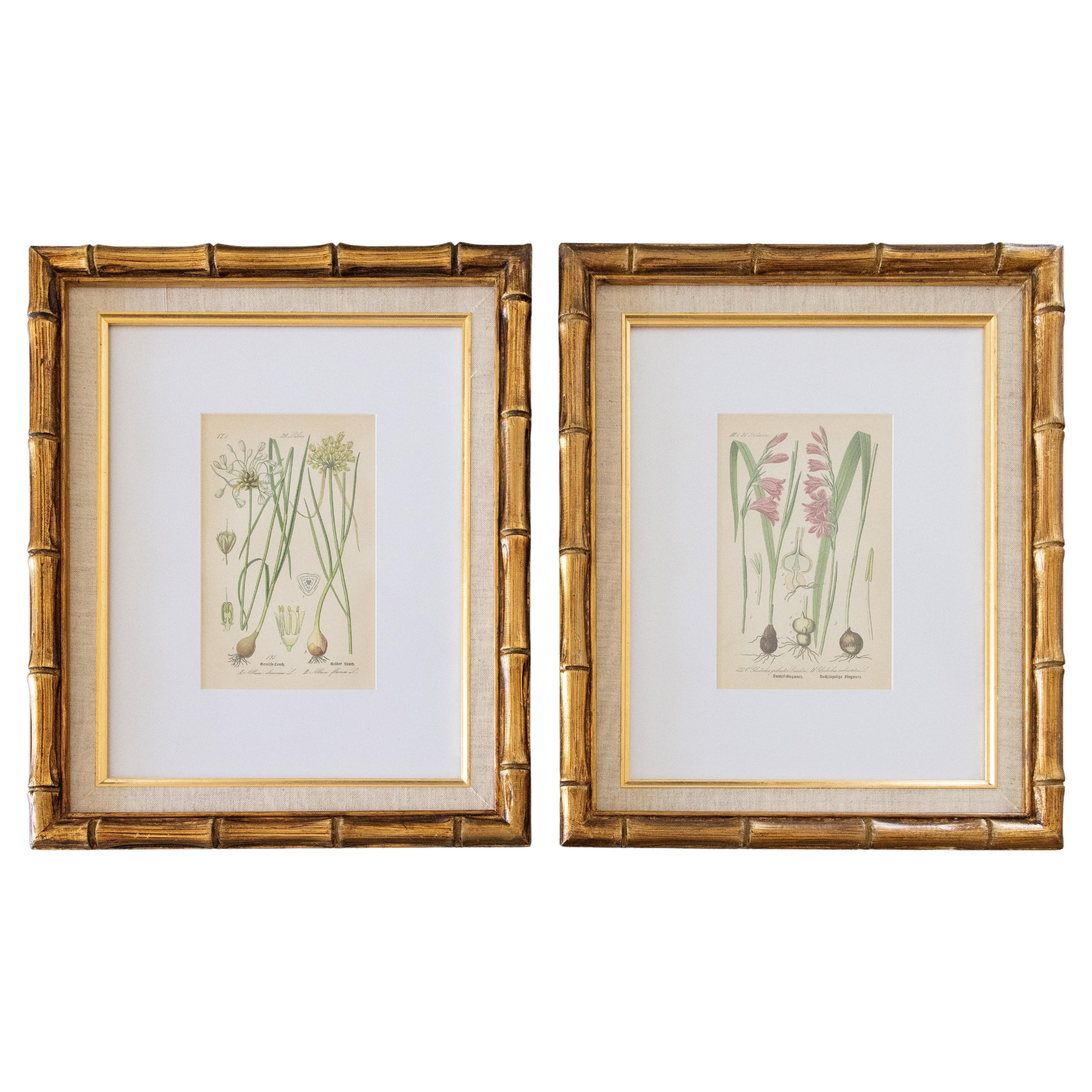 Set of 2 Custom Framed Antique Floral Botanical Engravings 
