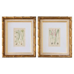Set of 2 Custom Framed Vintage Floral Botanical Engravings 