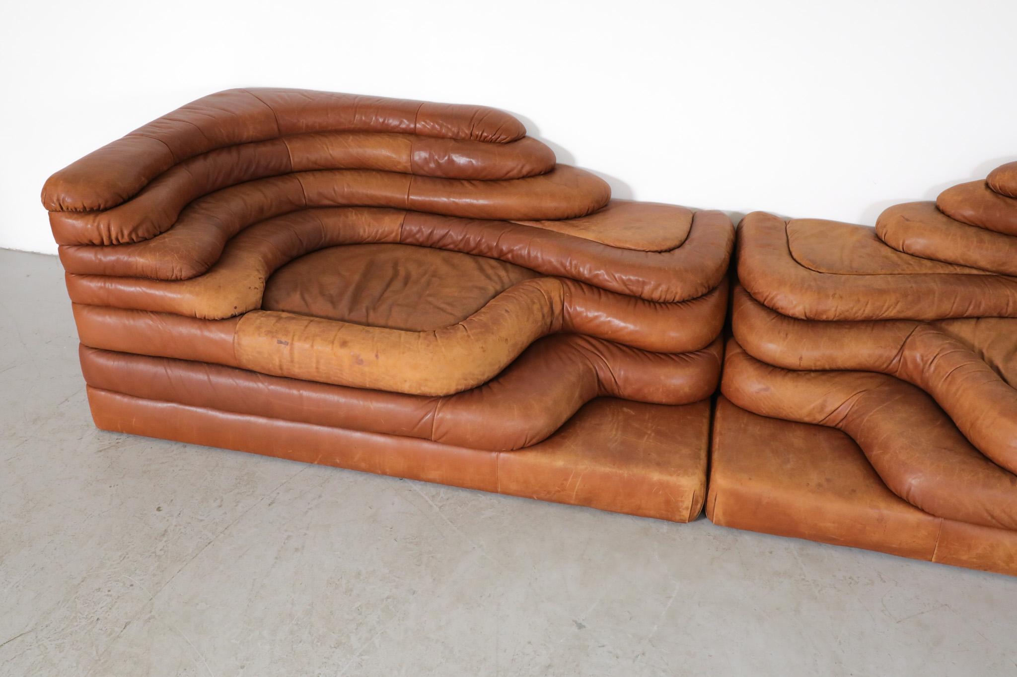 Mid-Century Modern Set of 2 De Sede DS-1025 'Terrazza' Sofas by Ubald Klug, 1970s For Sale