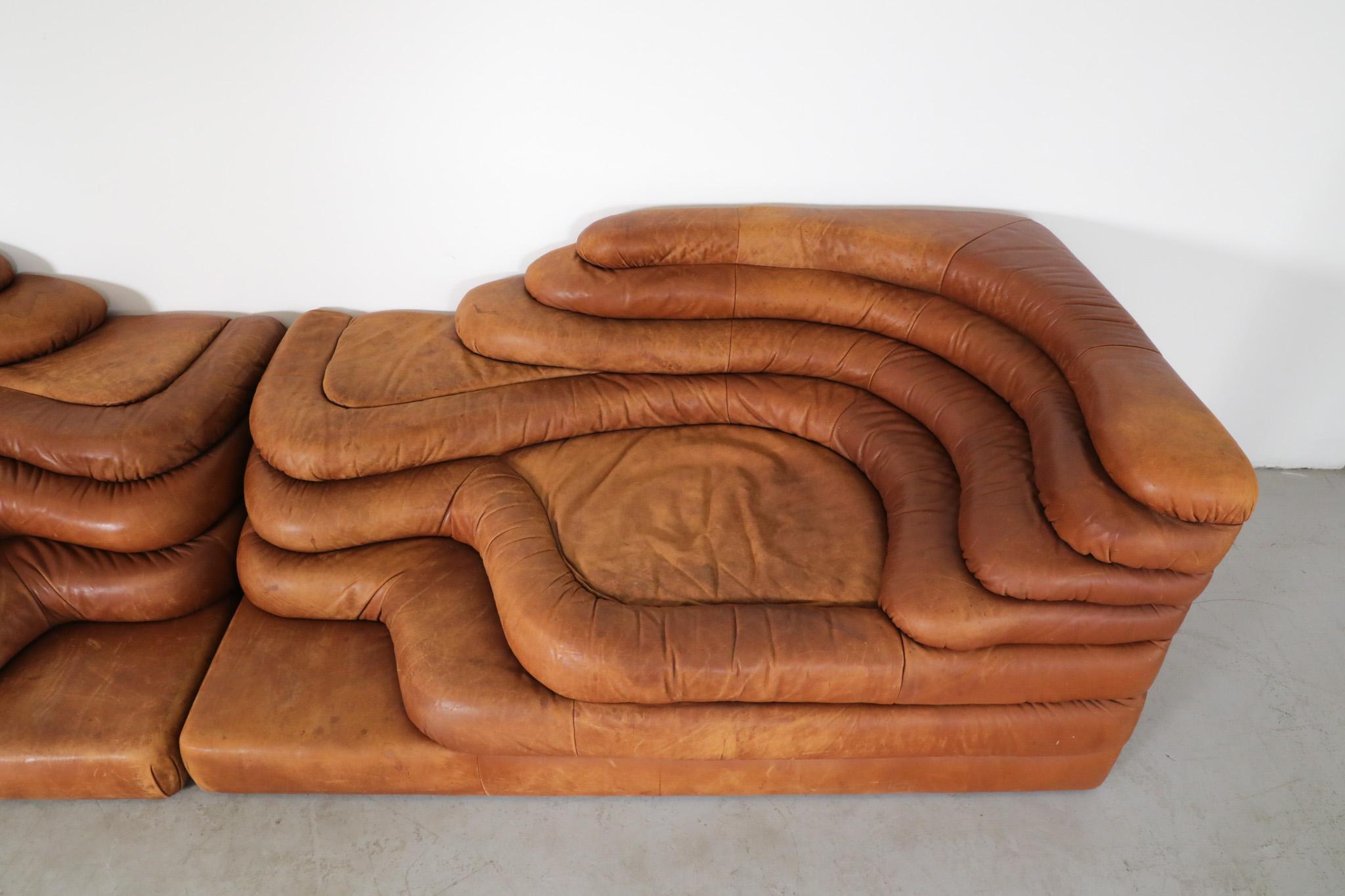 Leather Set of 2 De Sede DS-1025 'Terrazza' Sofas by Ubald Klug, 1970s For Sale