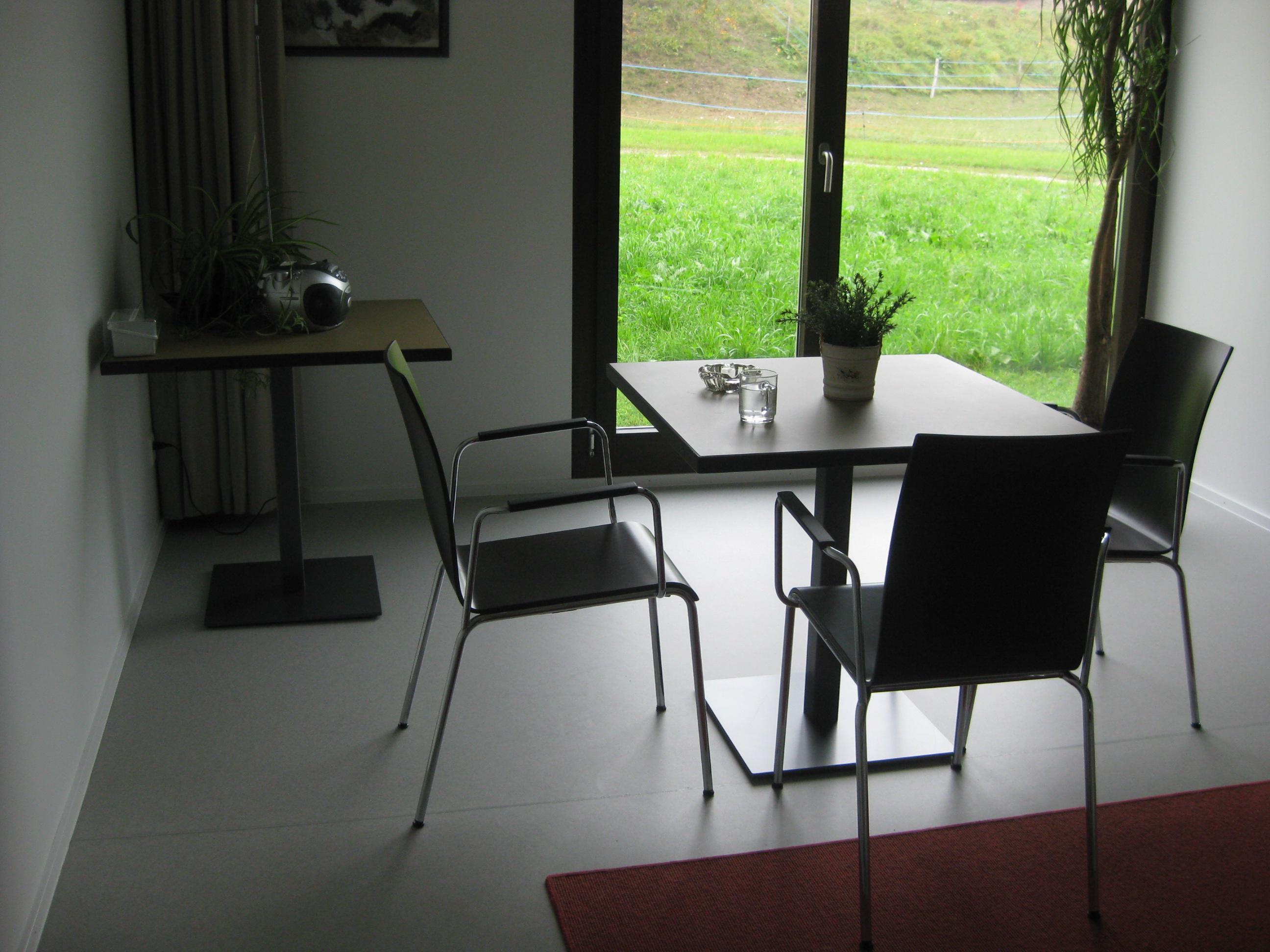 XXIe siècle et contemporain Ensemble de 2 chaises de salle à manger minimalistes Dietiker Poro S avec bras, fabriquées en Suisse en vente