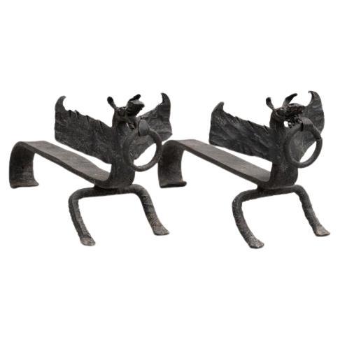 Set di 2 portacamini a forma di drago in metallo del primo Novecento in vendita