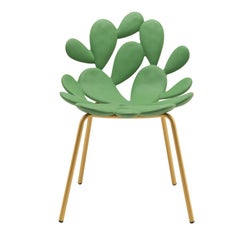 Set of 2 Green / Brass Cactus Chair by Marcantonio, Made in Italy