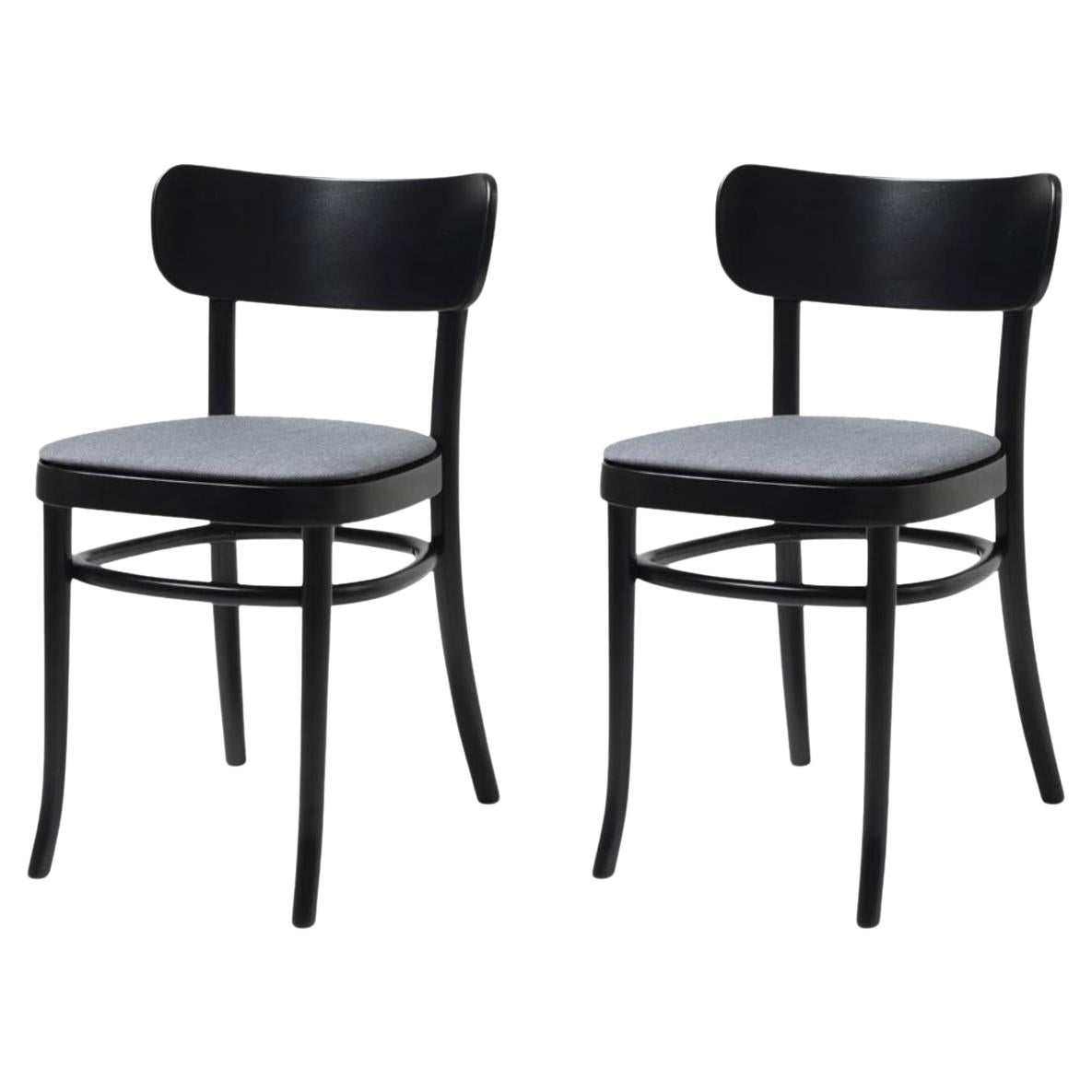 Set di 2 sedie da pranzo Iconic Black Stained MZO in legno di faggio by Mazo Design