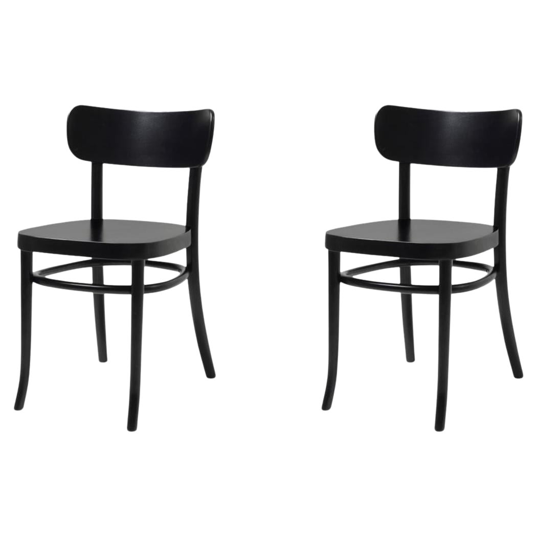 Set di 2 sedie da pranzo Iconic Black Stained MZO in legno di faggio by Mazo Design