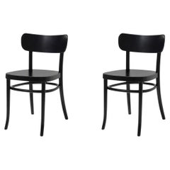 Set di 2 sedie da pranzo Iconic Black Stained MZO in legno di faggio by Mazo Design