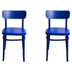 Set di 2 sedie MZO Iconic Royal Blue in legno di faggio di Mazo Design