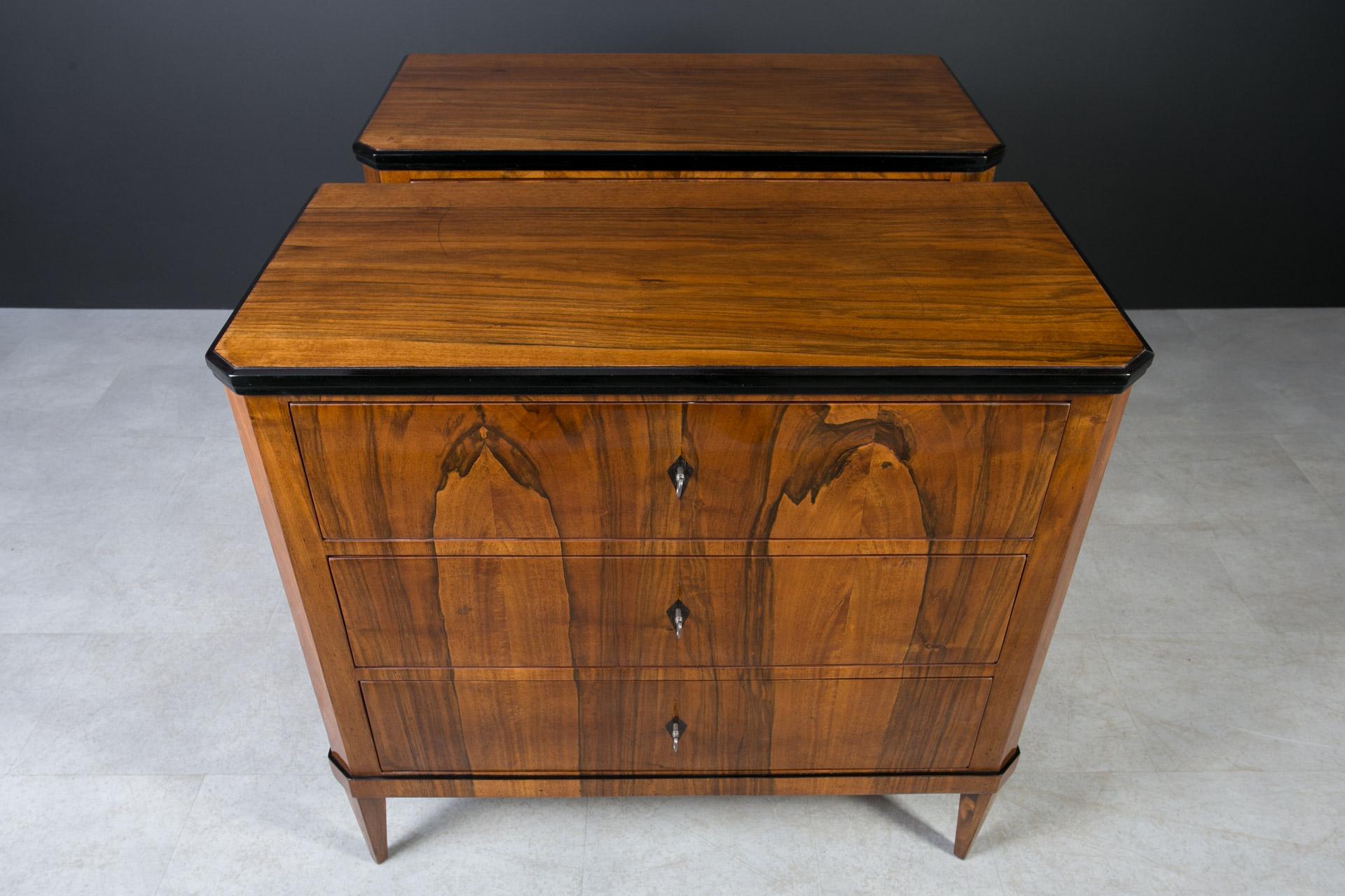 Set of 2 Identical Biedermeier Chests of Drawers, Germany, 19th Century, Walnut For Sale 7