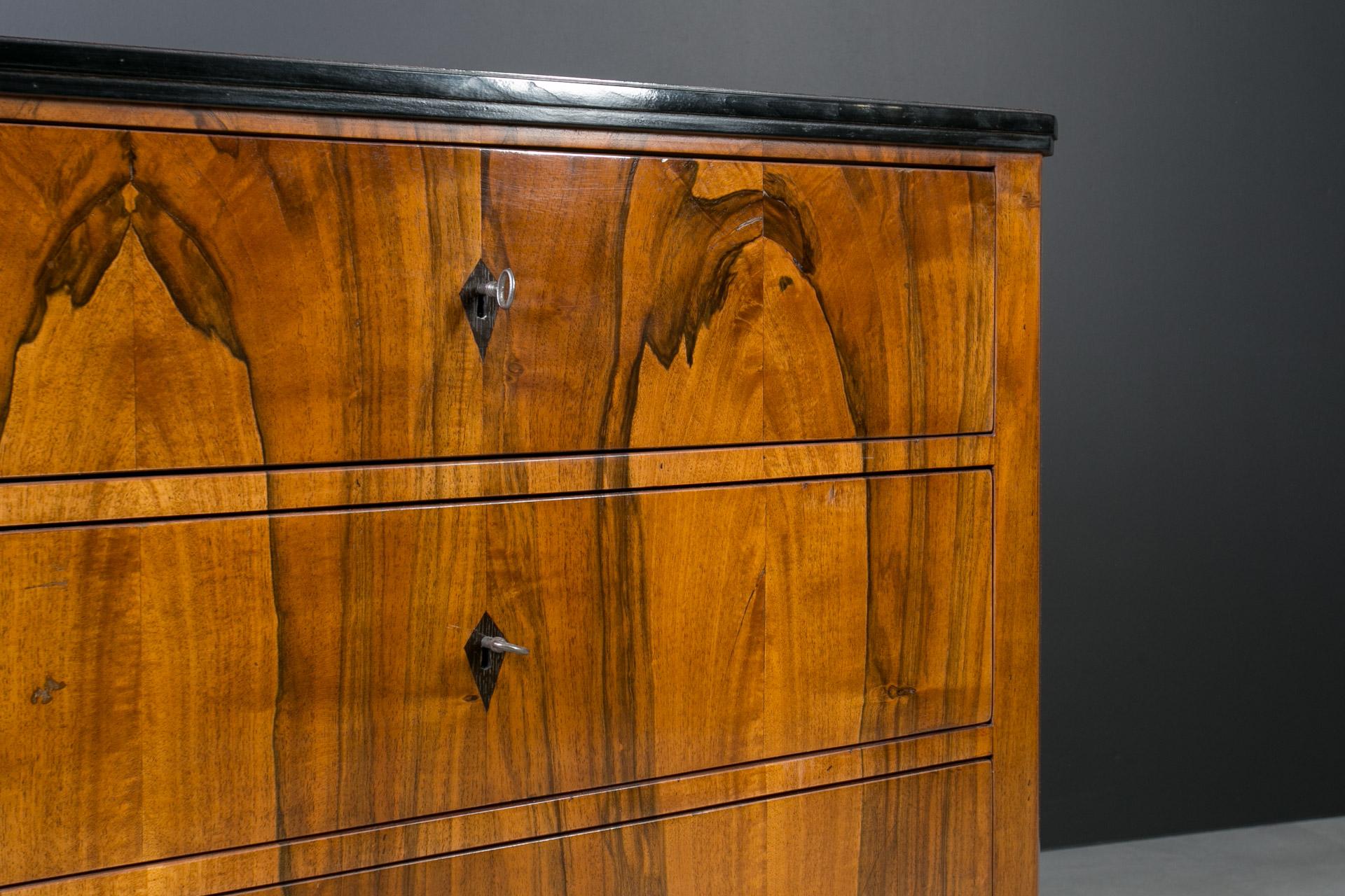 Set of 2 Identical Biedermeier Chests of Drawers, Germany, 19th Century, Walnut For Sale 9