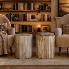 Ivory Petrified Wood End Tables, Set of 2, Organic Modern Style