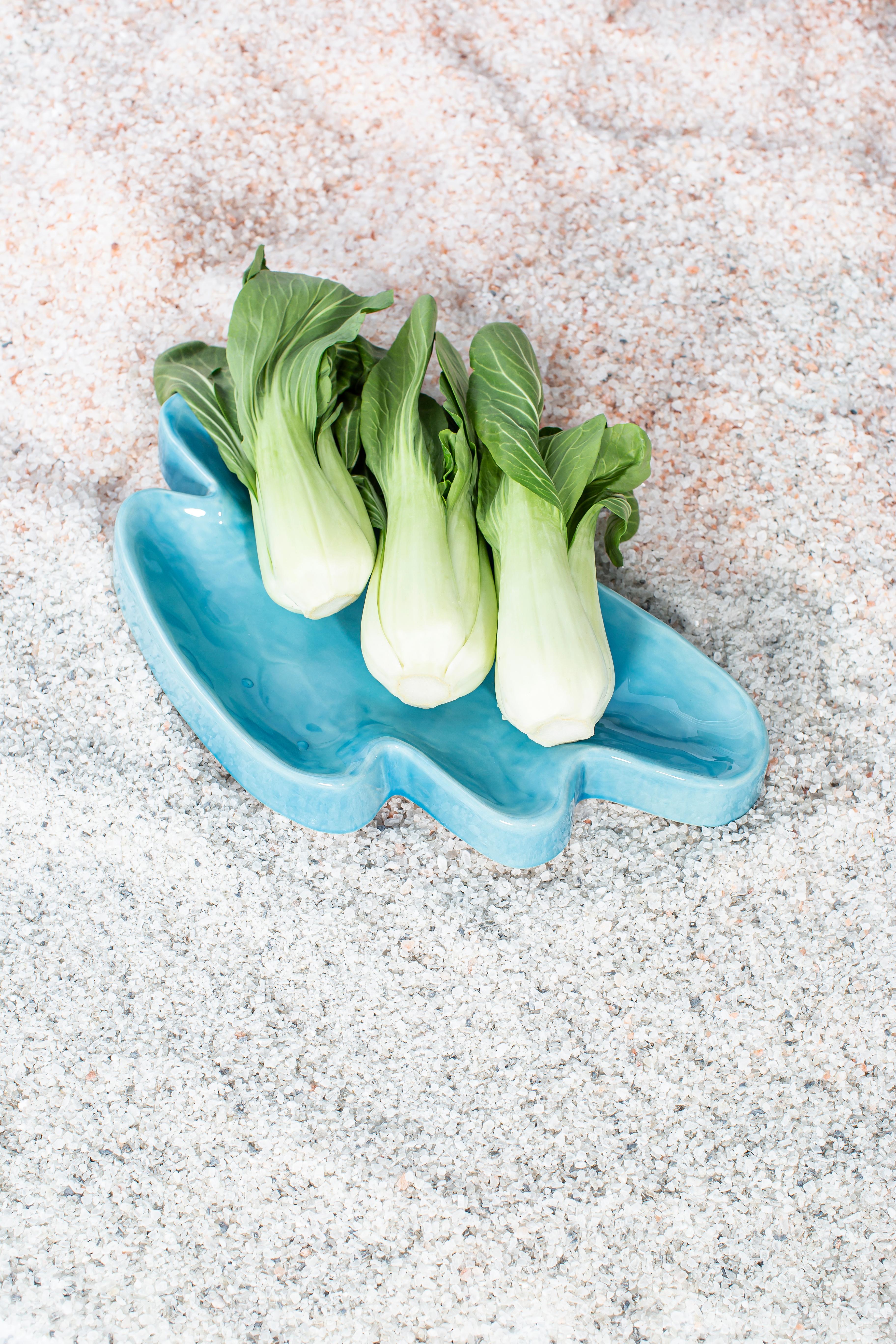 Contemporary Set of 2 Lake Small Tropical Turquoise Tray by Pulpo