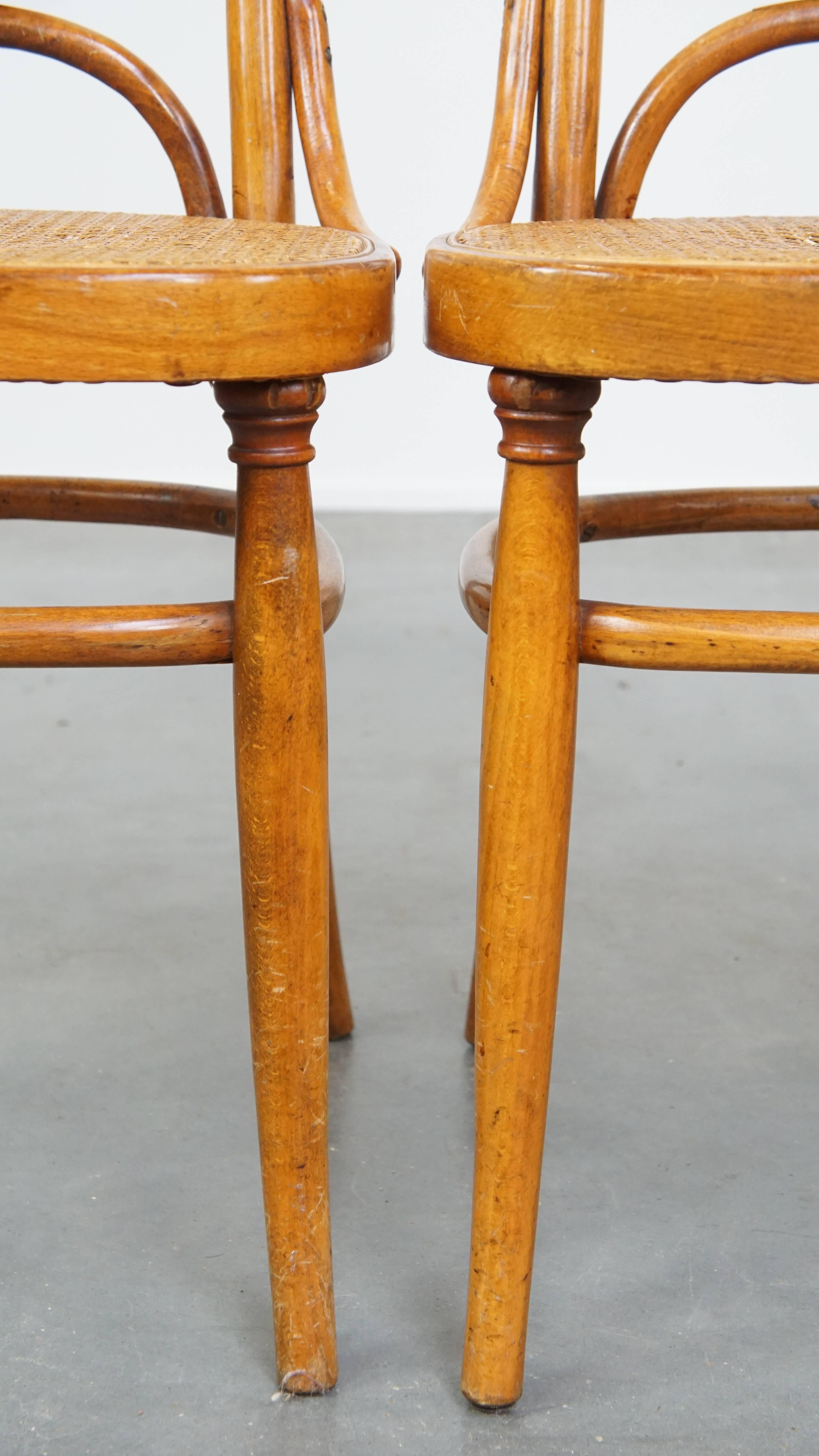 Set di 2 sedie in legno curvato marrone chiaro in stile Thonet, modello 