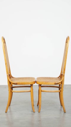 Set of 2 light brown bentwood Thonet style chairs model "Long John"