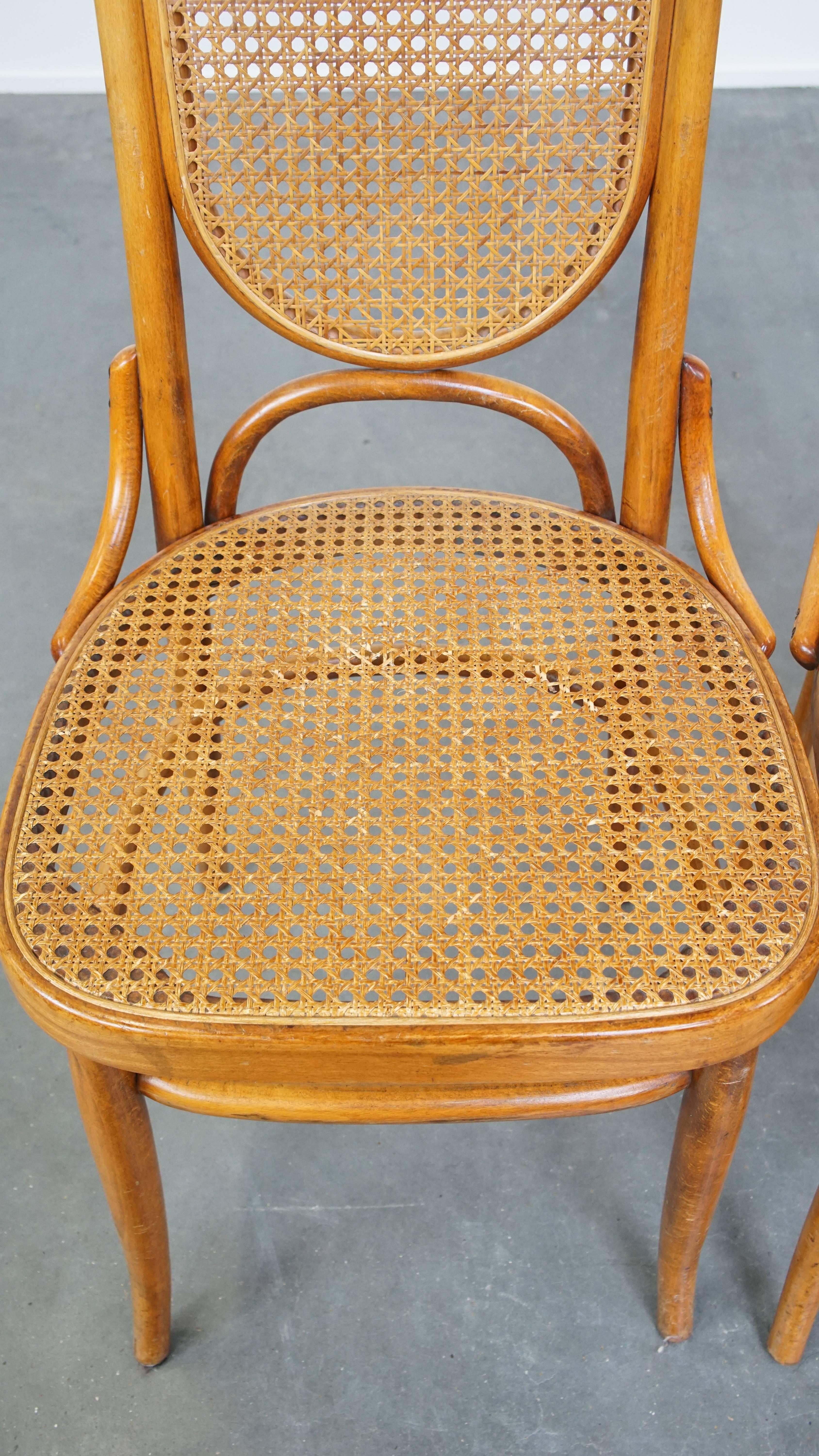 Metà XX secolo Set di 2 sedie in legno curvato marrone chiaro in stile Thonet, modello 