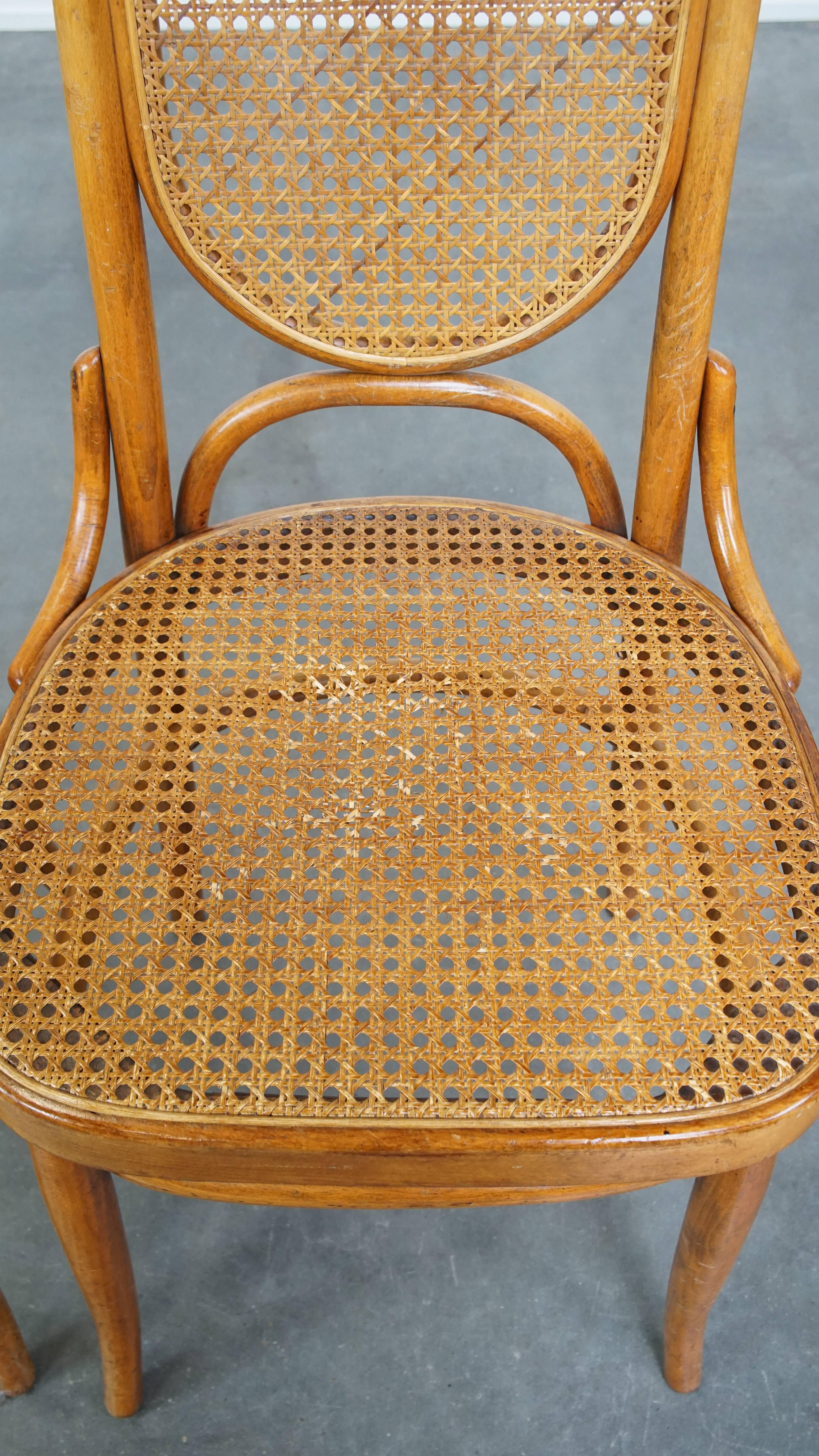 Rattan Set di 2 sedie in legno curvato marrone chiaro in stile Thonet, modello 