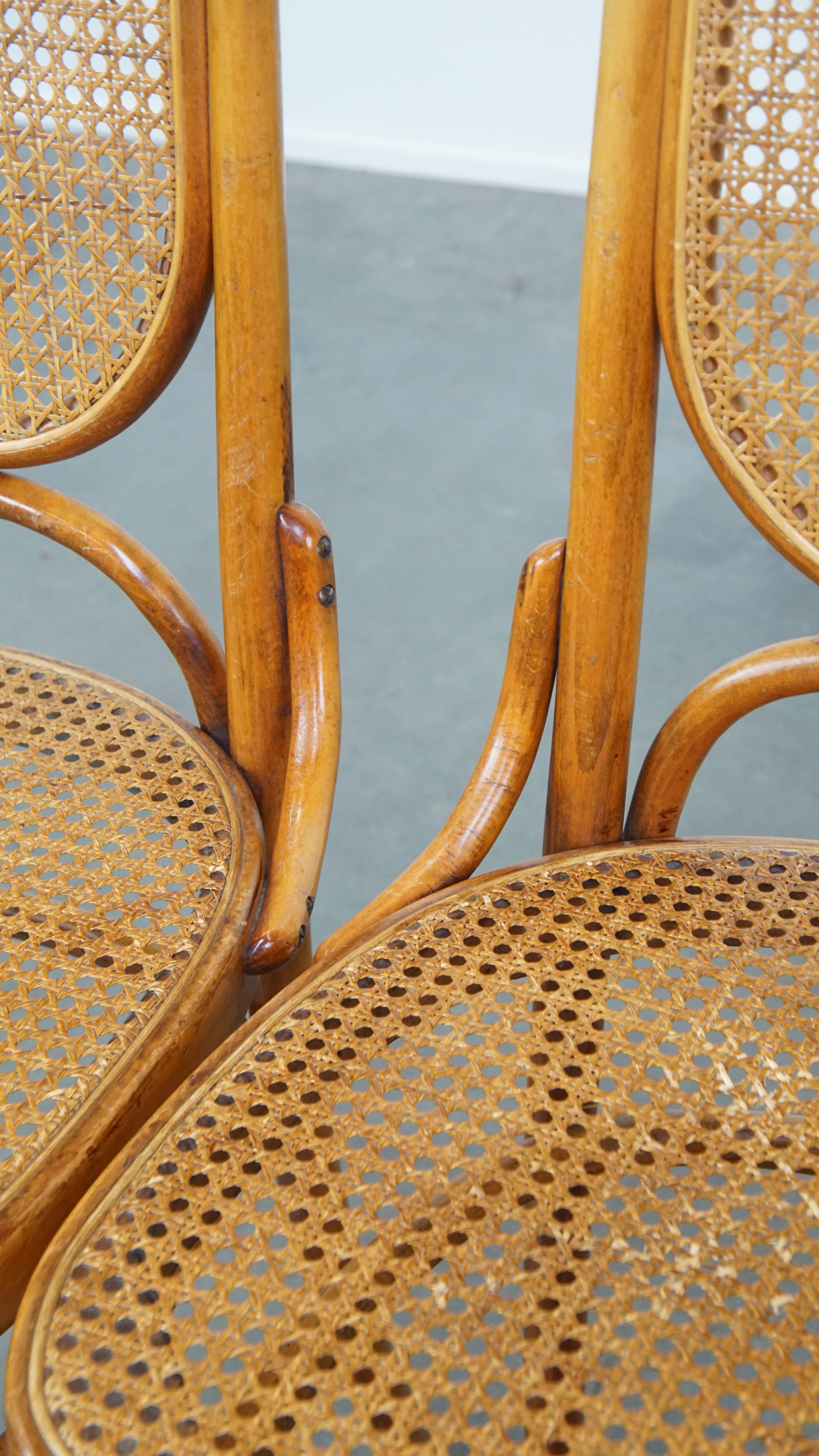 Set di 2 sedie in legno curvato marrone chiaro in stile Thonet, modello 