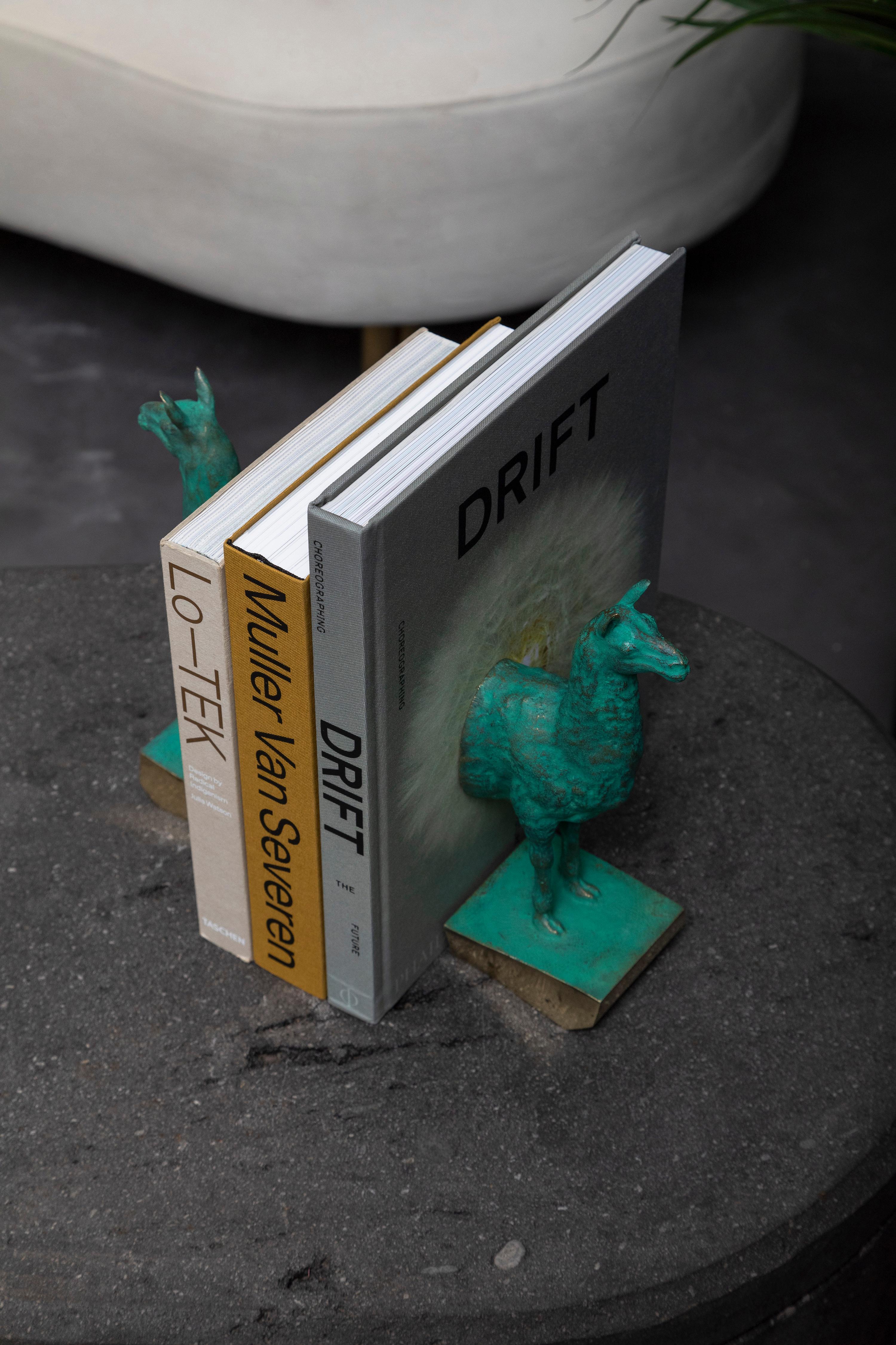 Set Of 2 Llamas Bookends in Verdigris Patinated Bronze by Estudio Andean For Sale 4